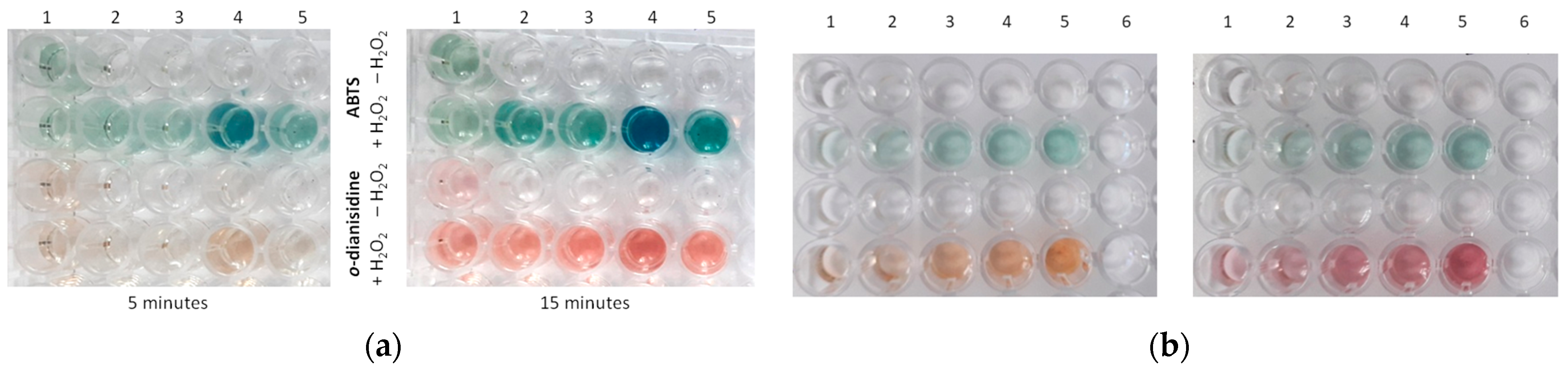 Biosensors 15 00157 g001
