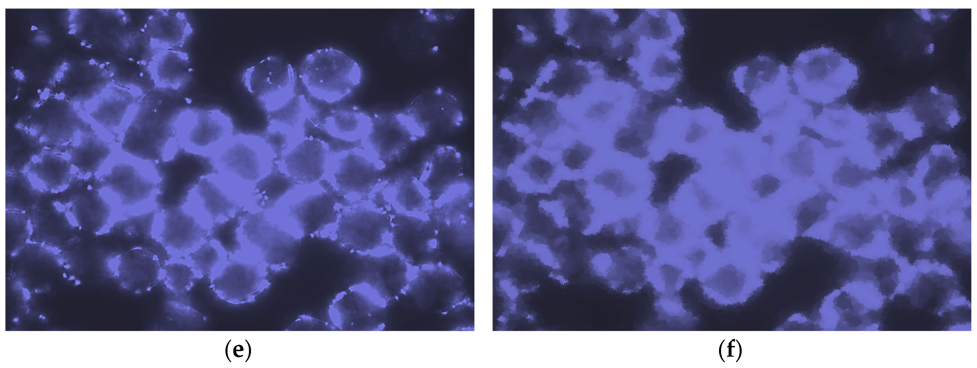 Biosensors 15 00157 g010b