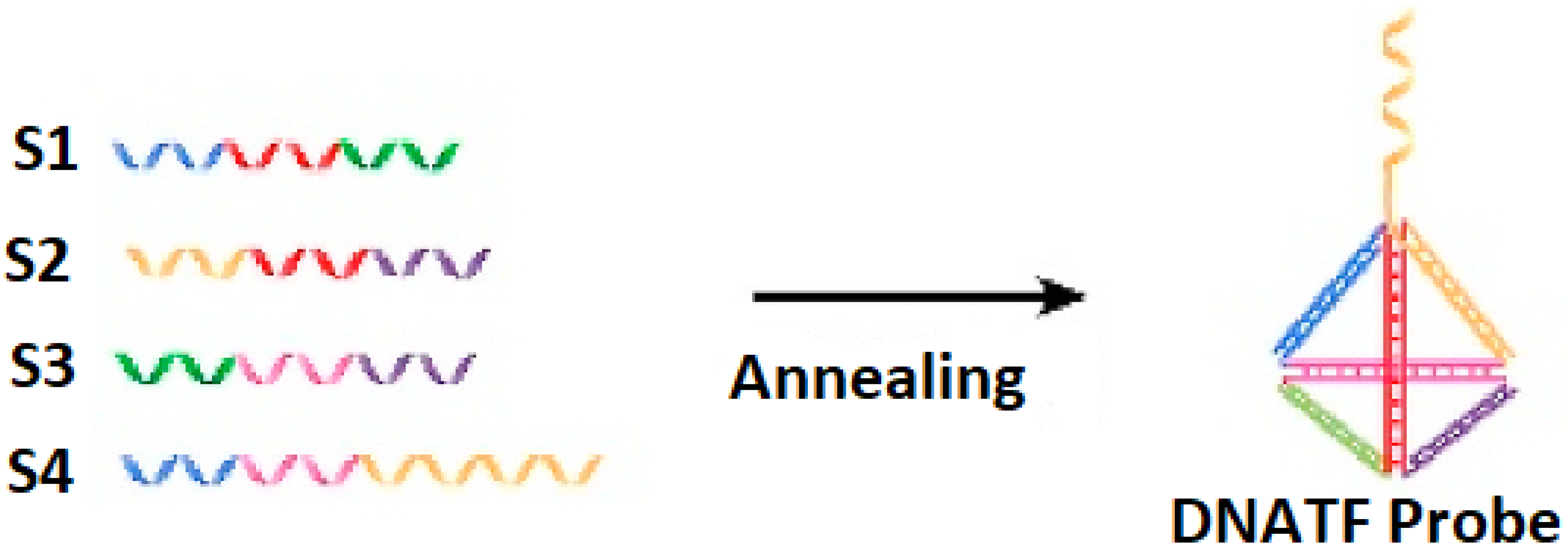 Biosensors 15 00159 g001