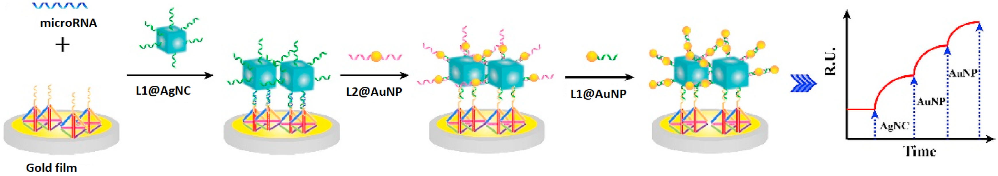 Biosensors 15 00159 g003
