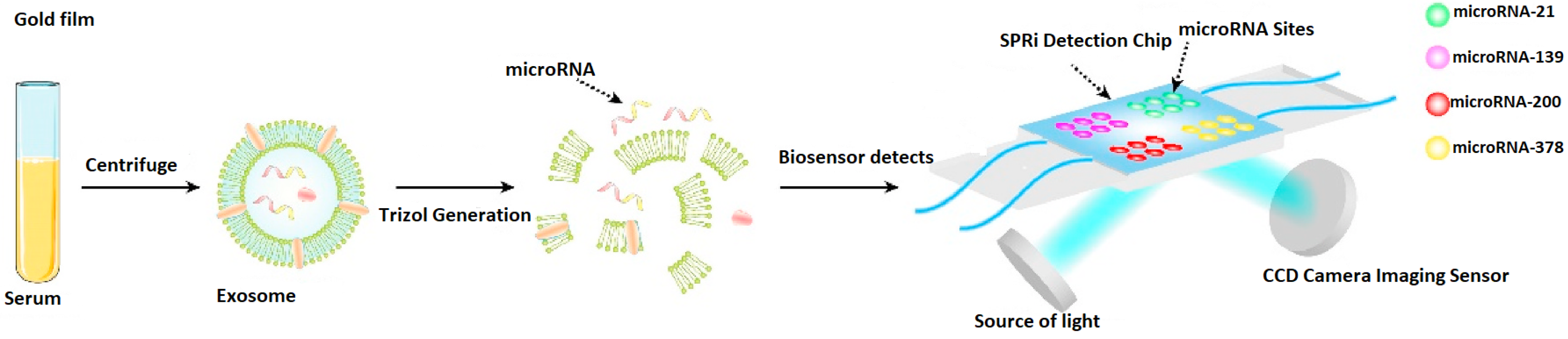 Biosensors 15 00159 g004