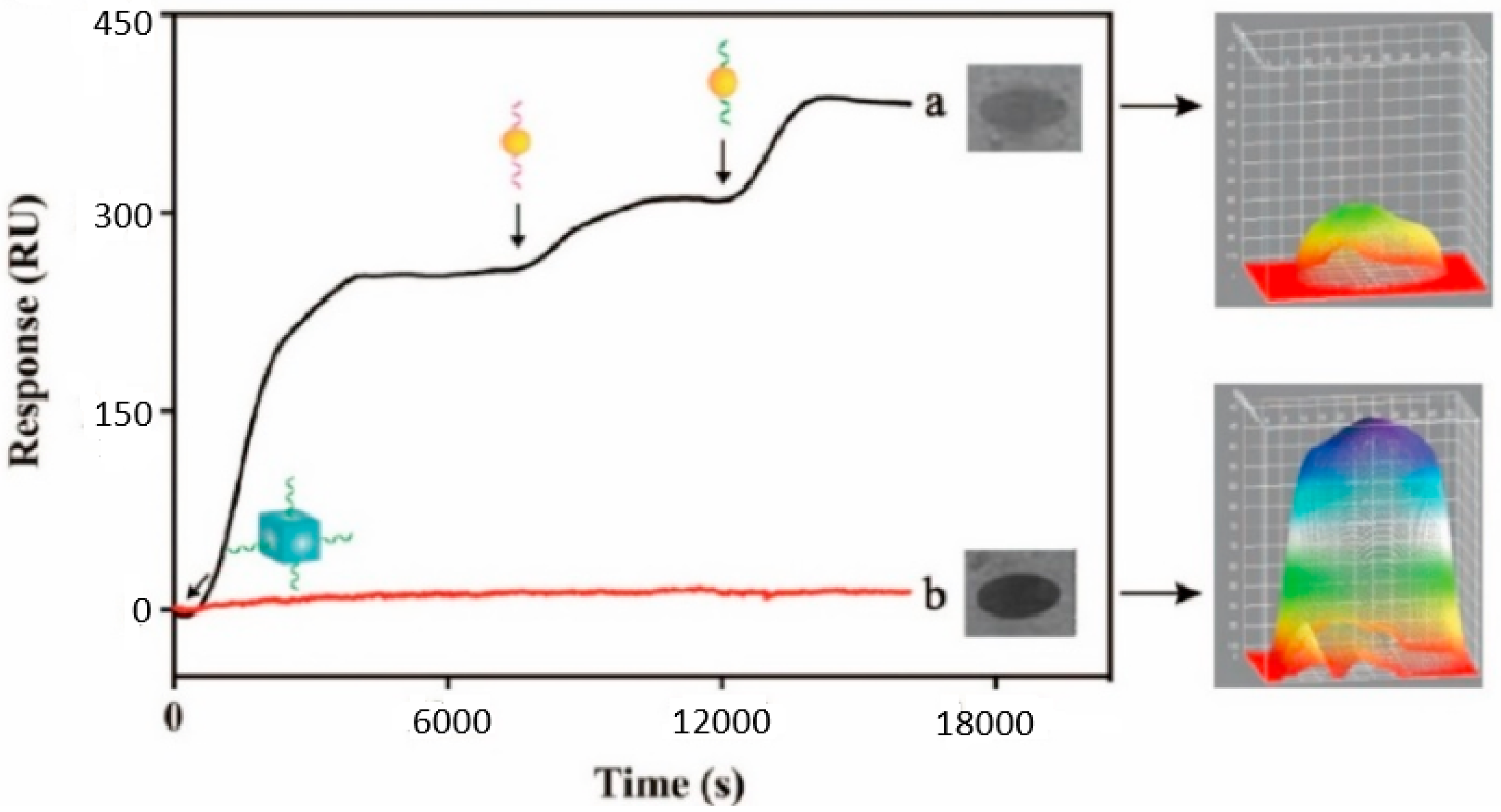 Biosensors 15 00159 g009
