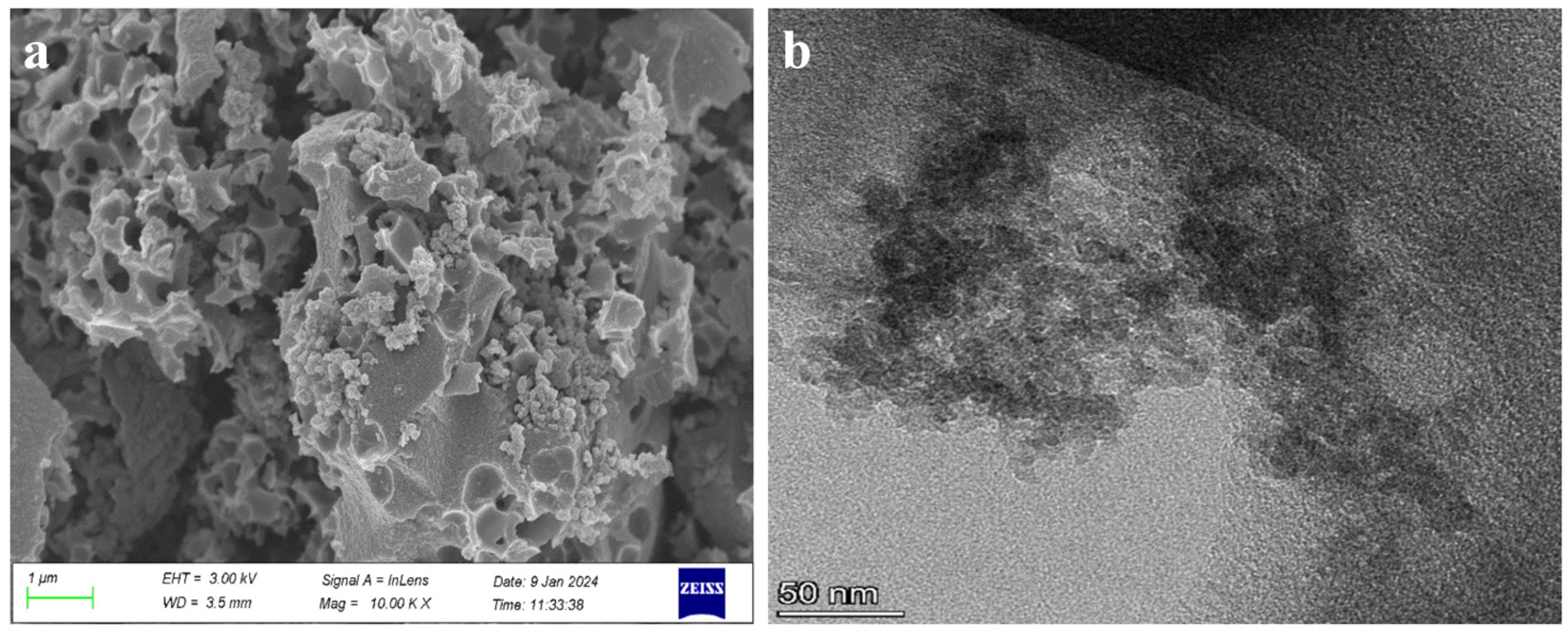 Biosensors 15 00160 g001