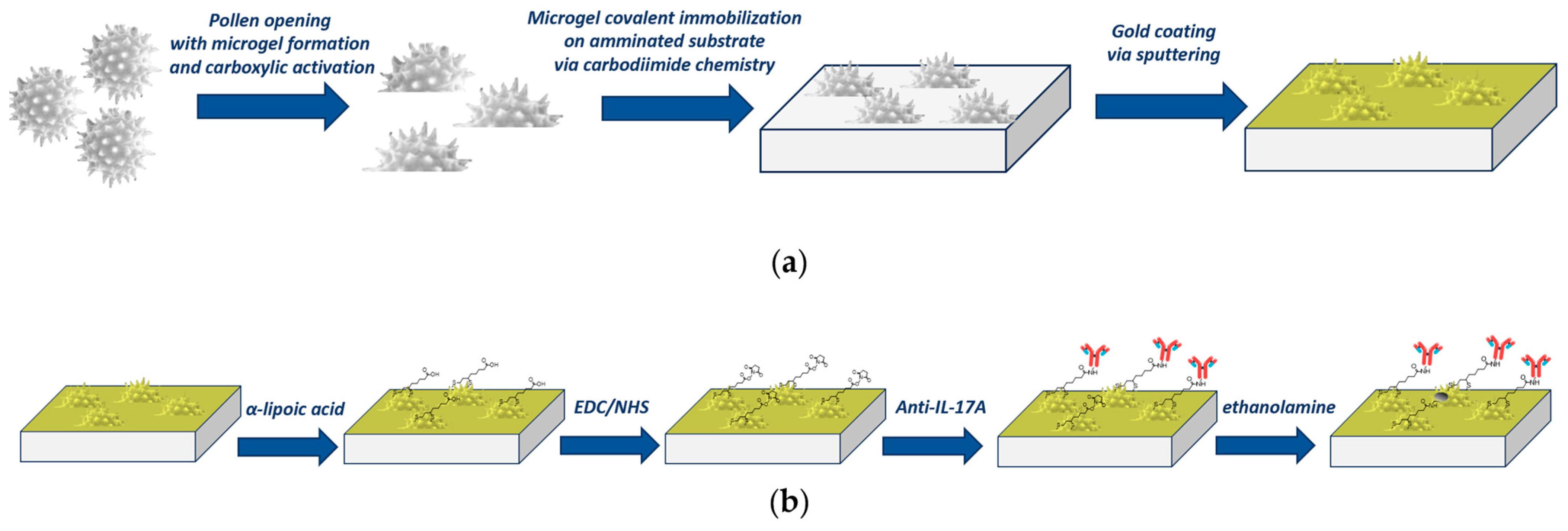 Biosensors 15 00161 g001