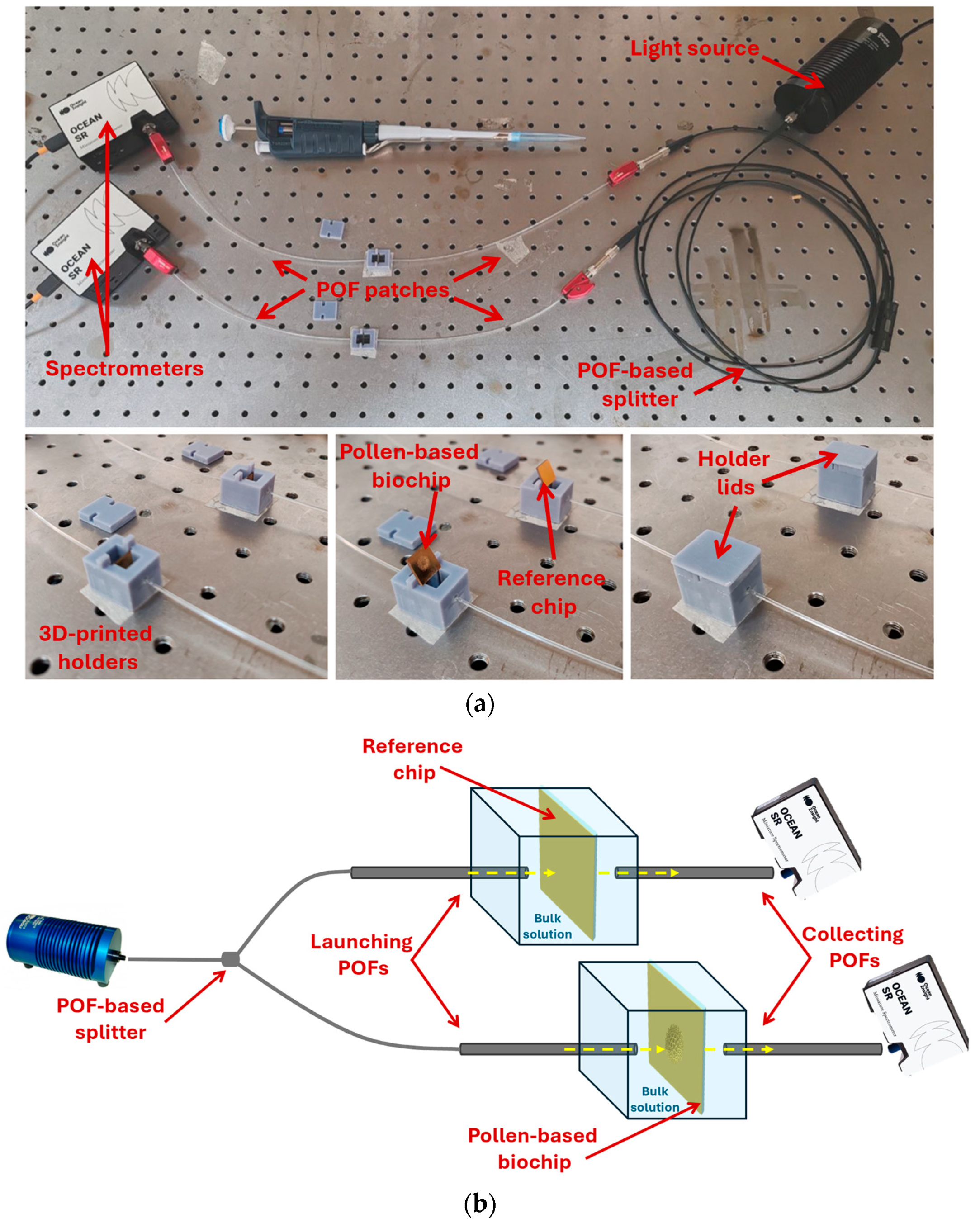 Biosensors 15 00161 g002