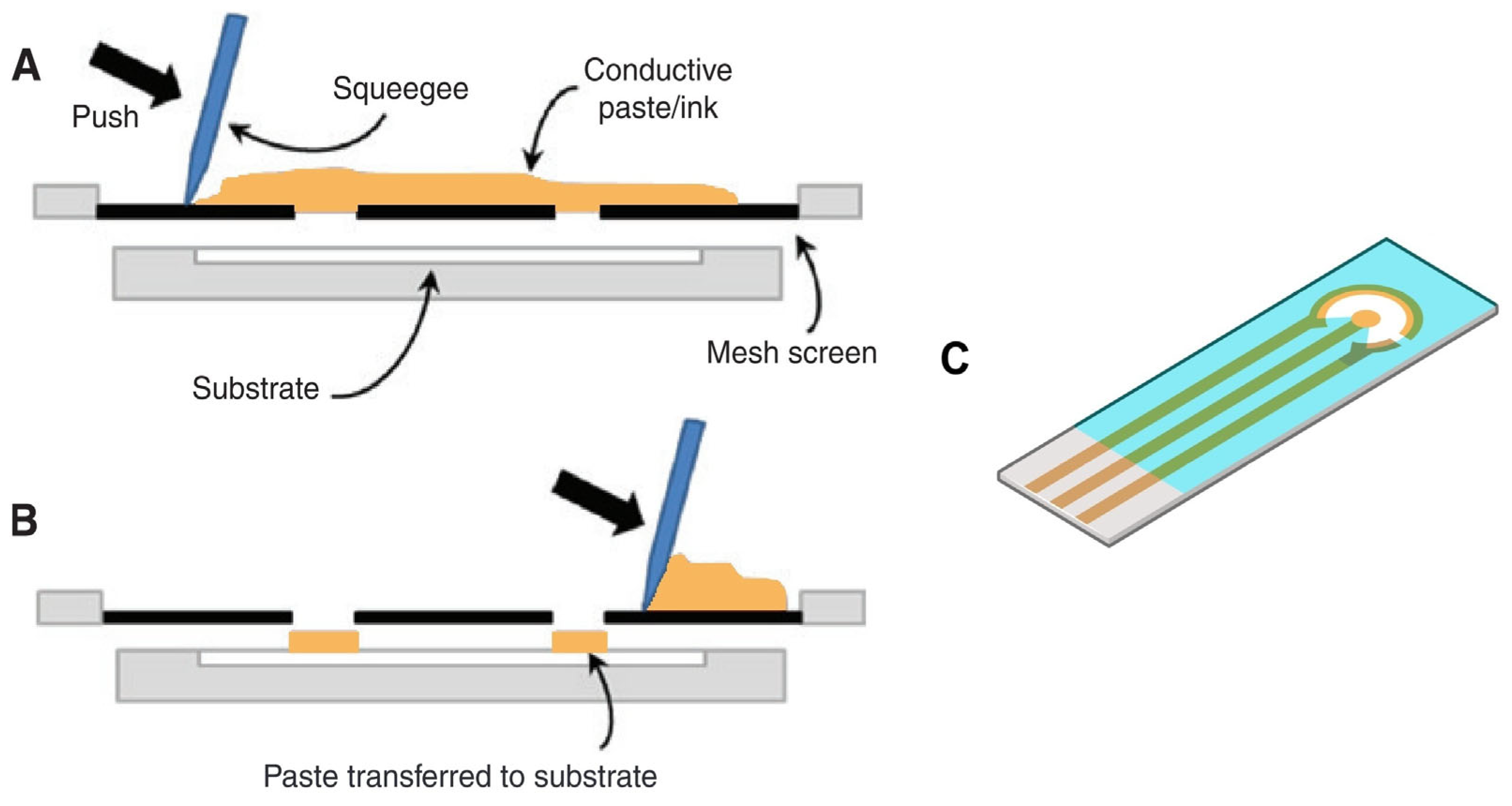 Biosensors 15 00166 g001