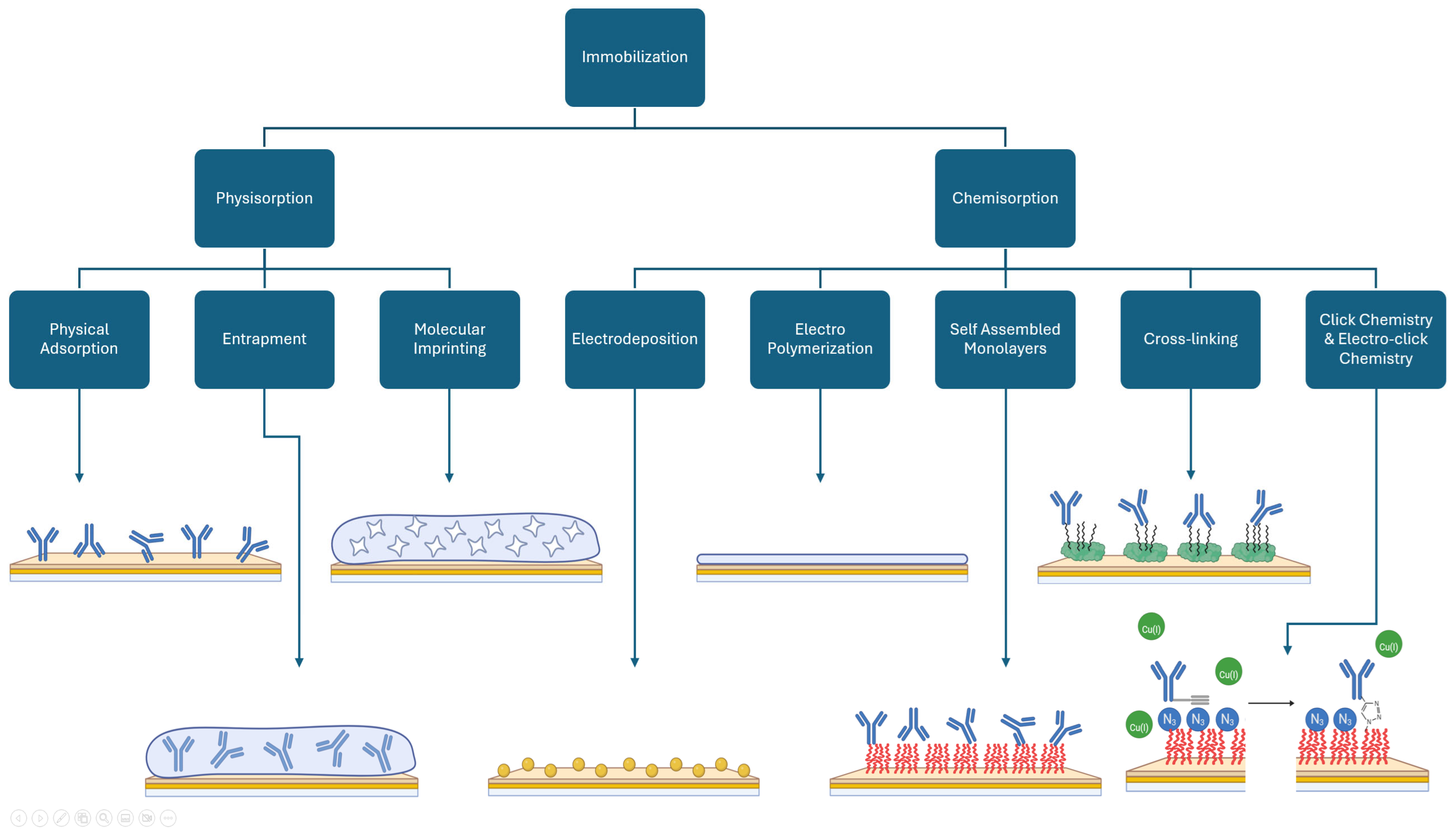 Biosensors 15 00166 g003