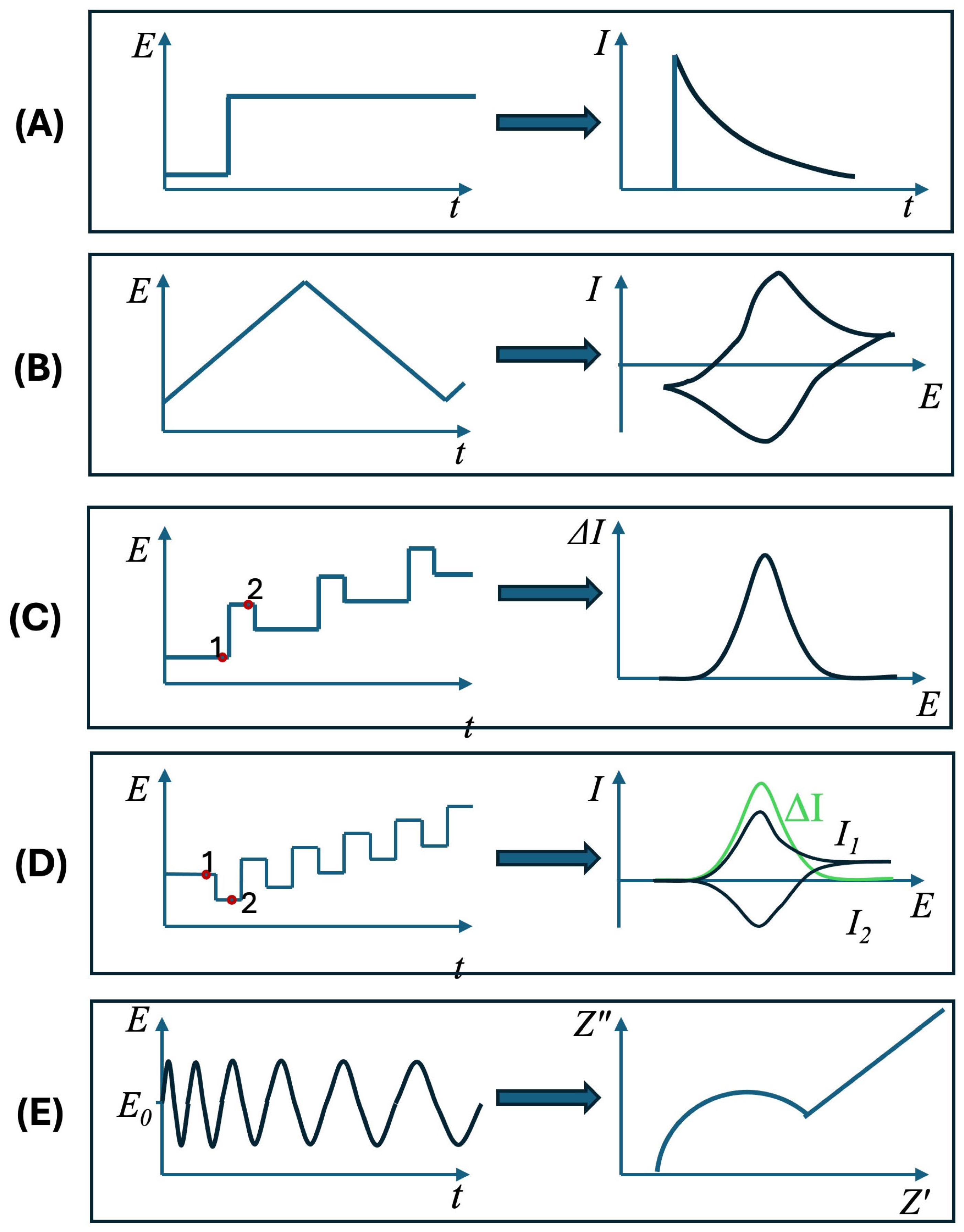 Biosensors 15 00166 g005