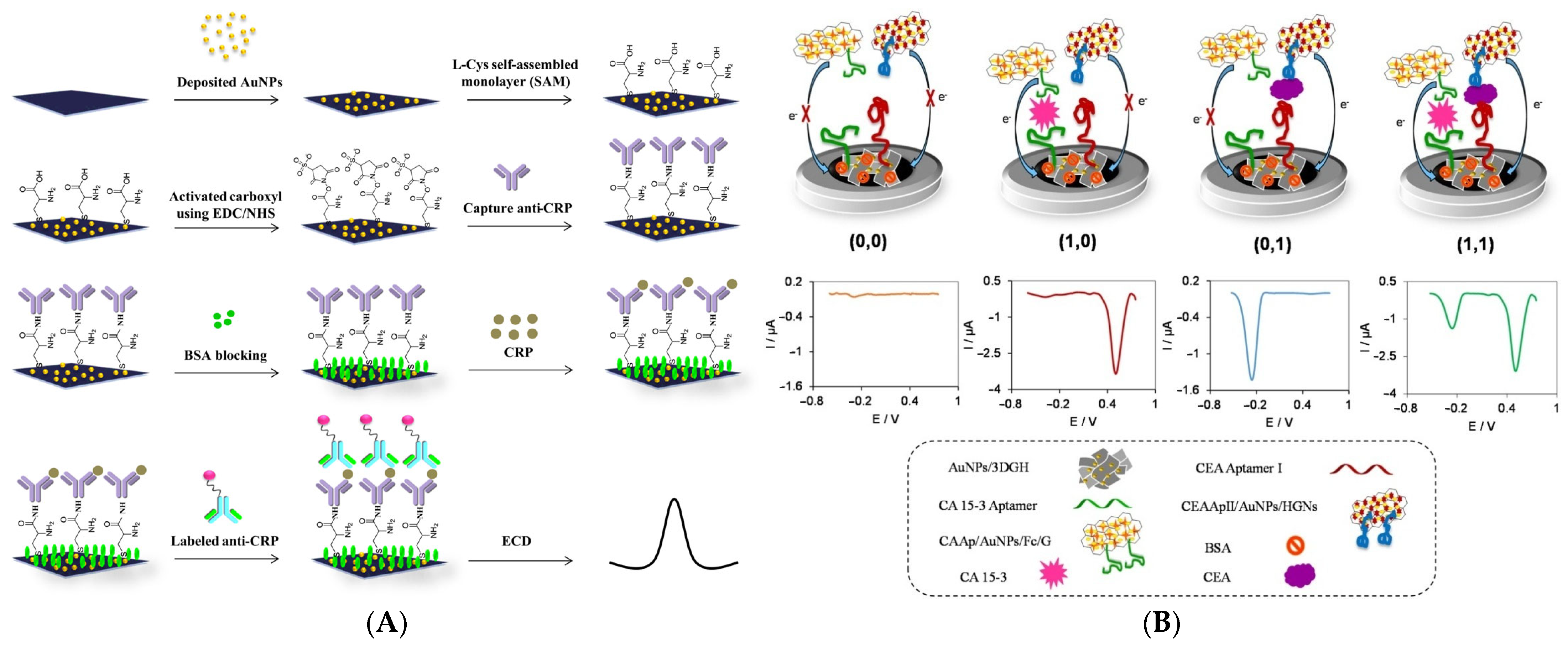 Biosensors 15 00166 g010