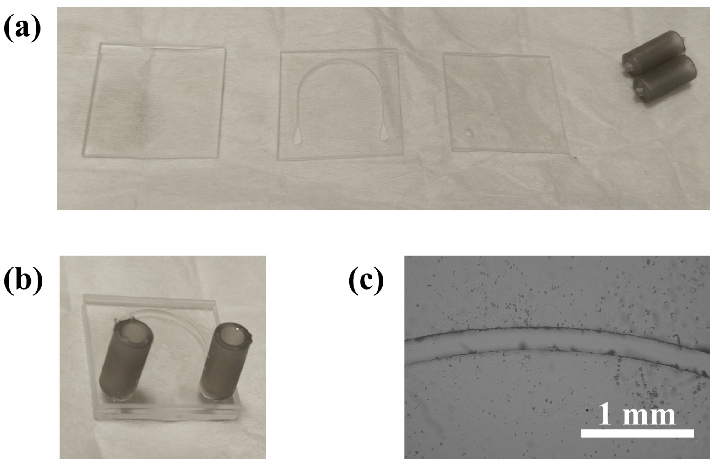 Biosensors 15 00172 g004