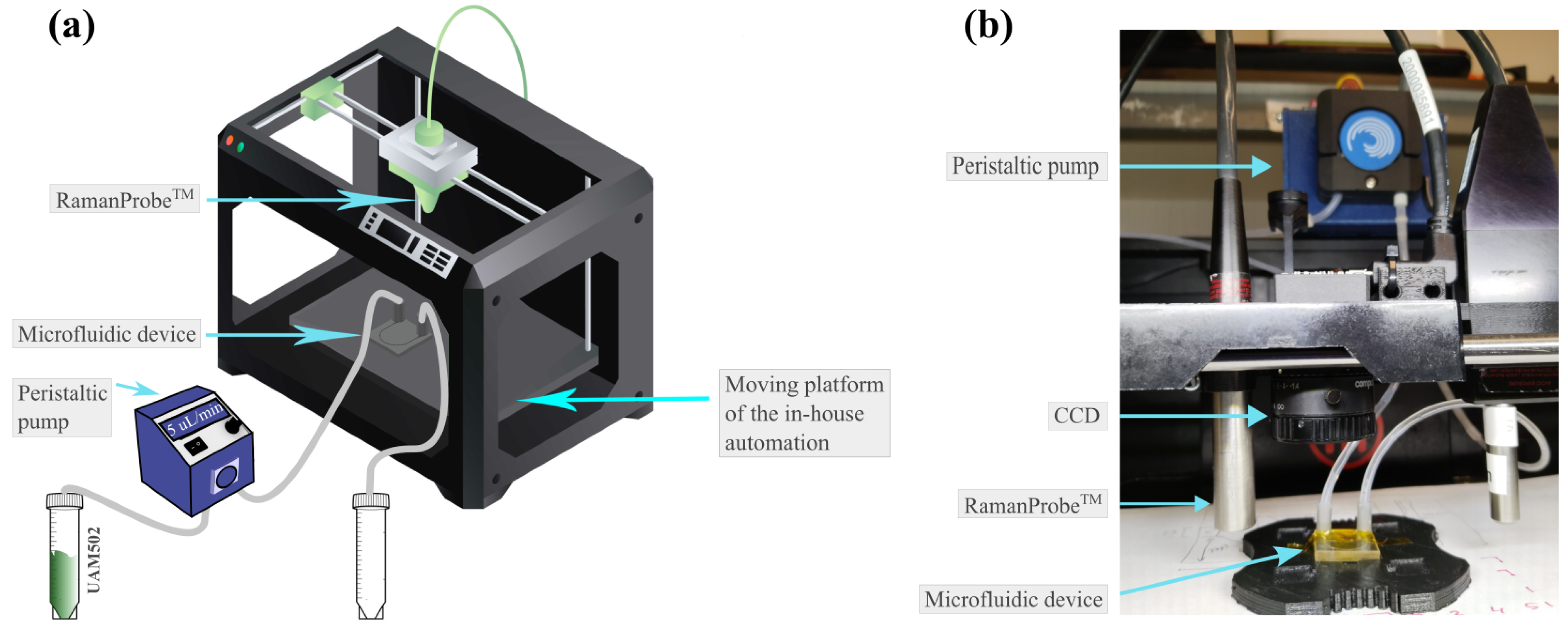 Biosensors 15 00172 g005