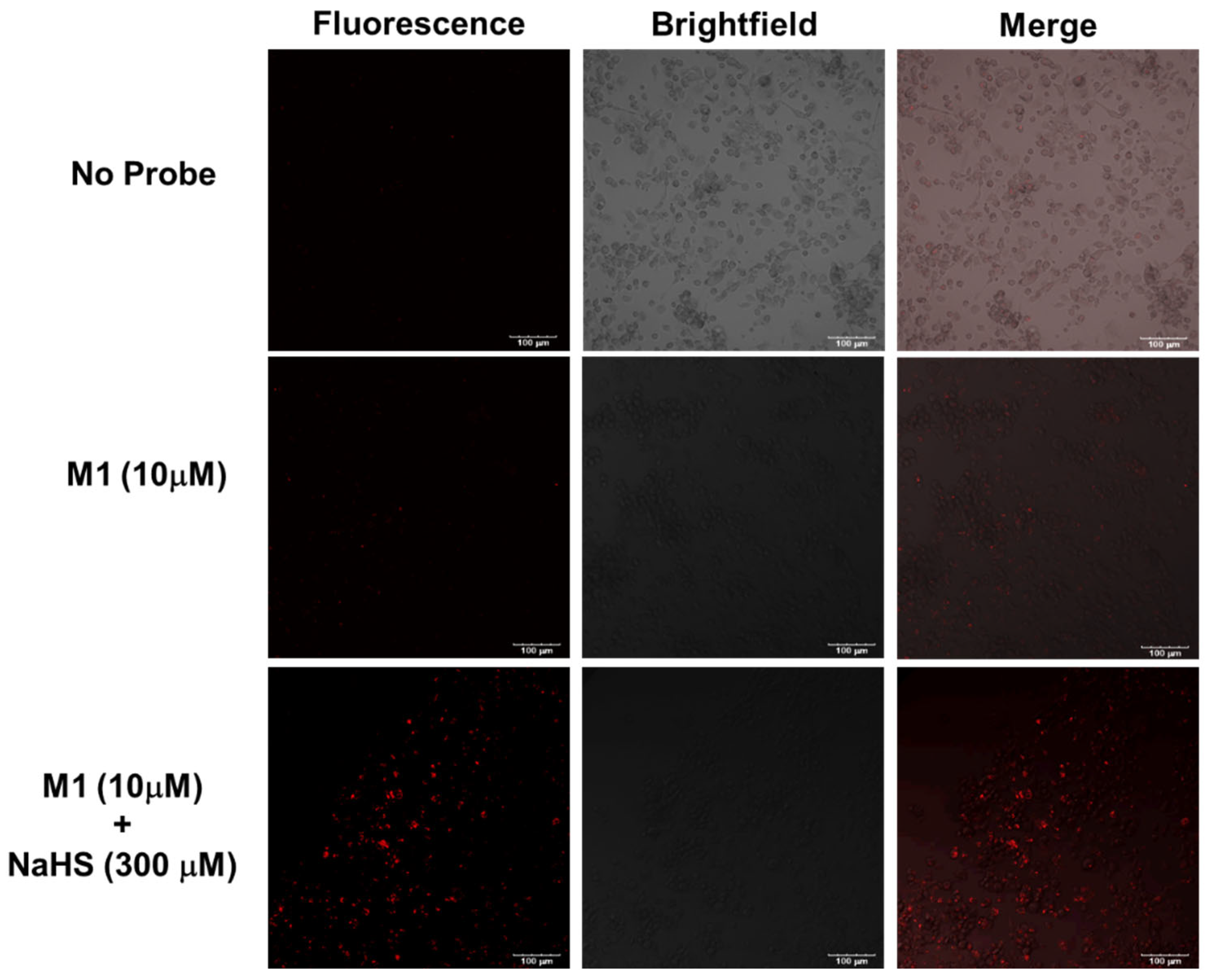 Biosensors 15 00174 g004