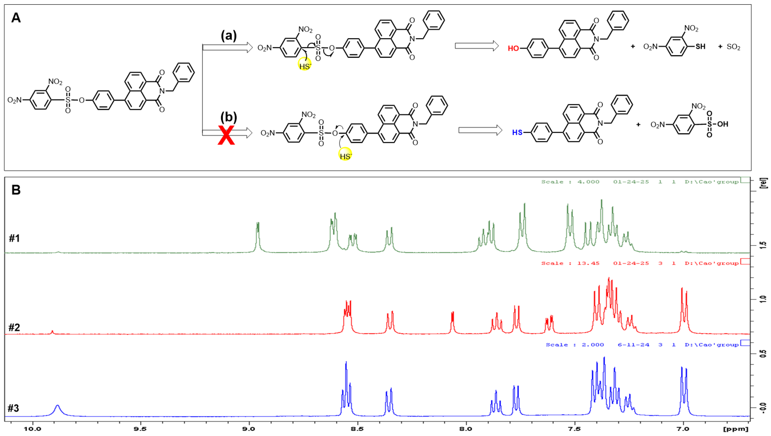 Biosensors 15 00174 sch002