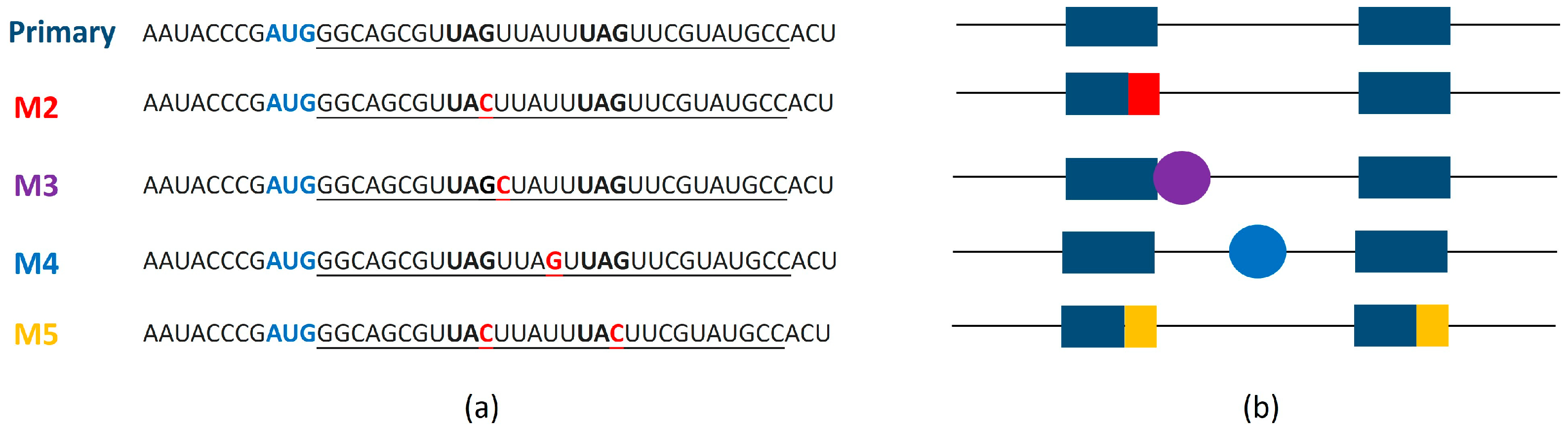 Biosensors 15 00175 g002
