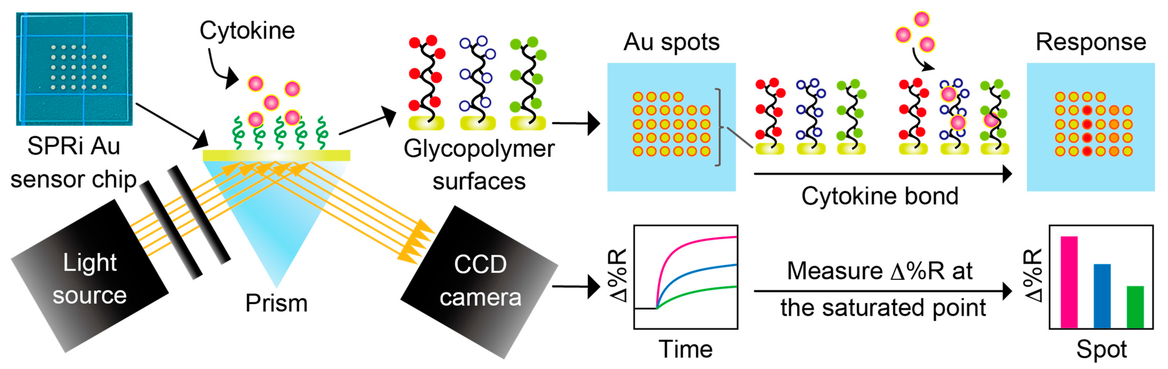 Biosensors 15 00178 g002