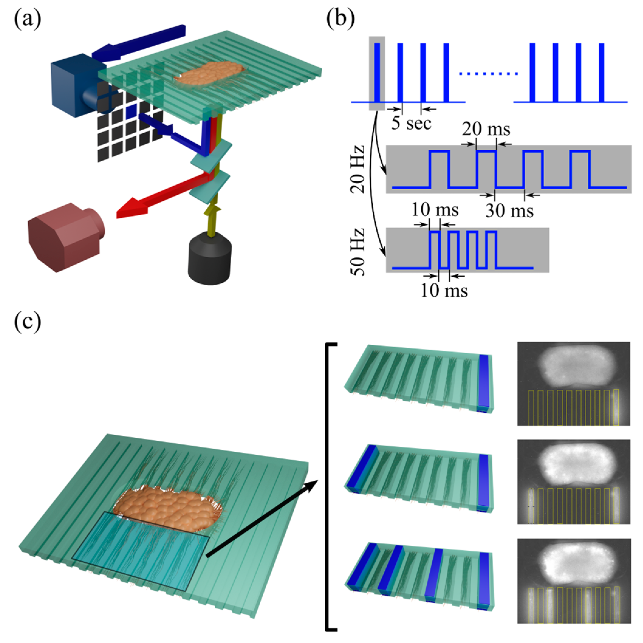Biosensors 15 00179 g002