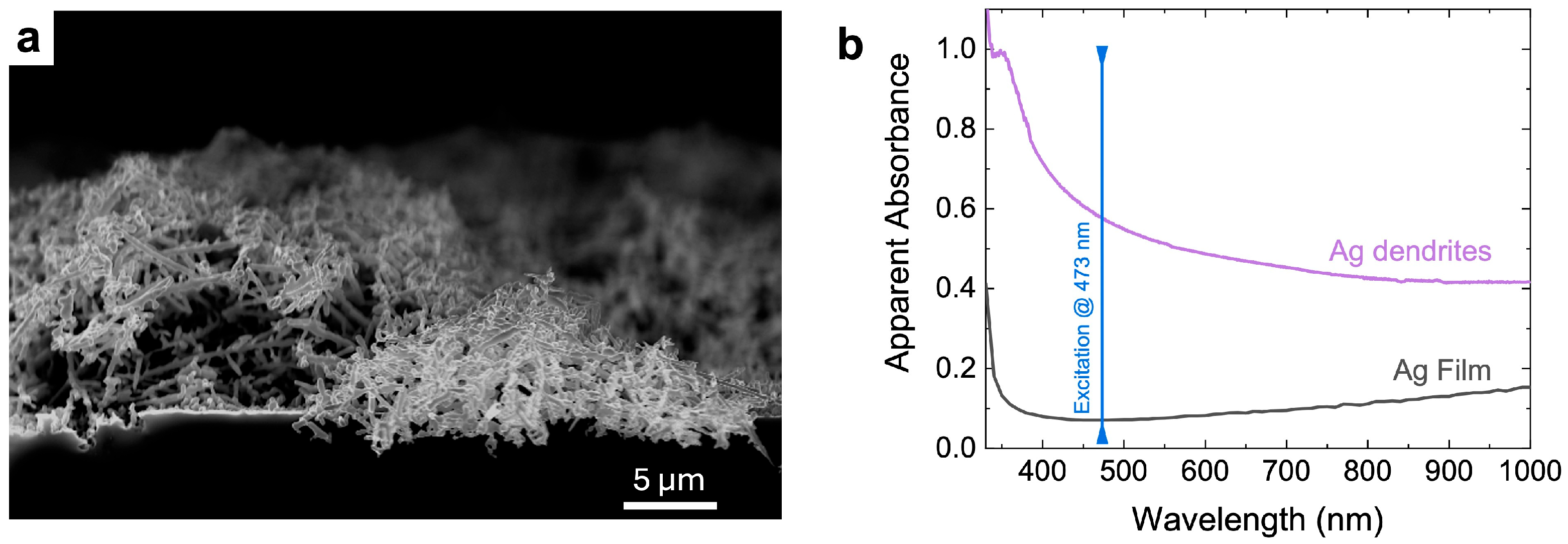 Biosensors 15 00182 g003