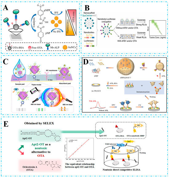 Nanobody-Based Immunoassays for the Detection of Food