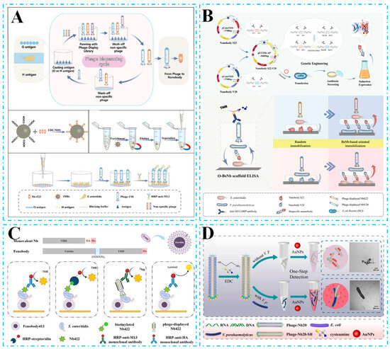 Nanobody-Based Immunoassays for the Detection of Food