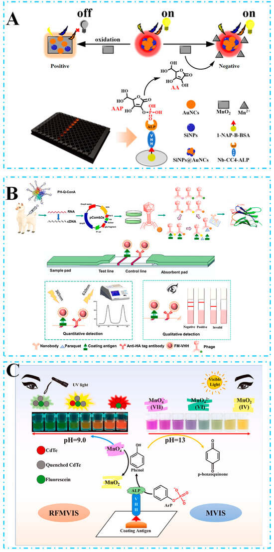 Nanobody-Based Immunoassays for the Detection of Food Hazards—A Review