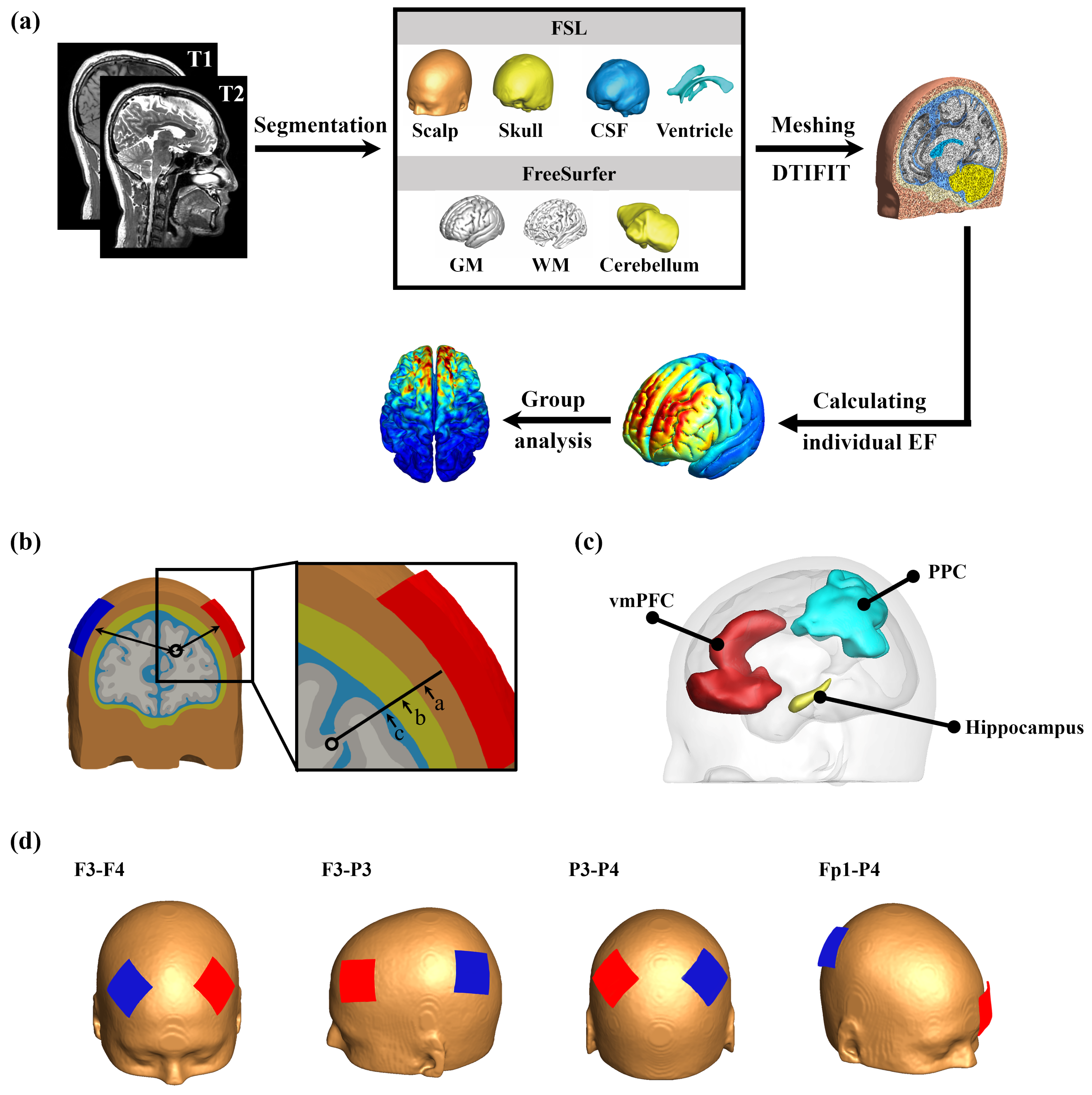 Biosensors 15 00185 g001
