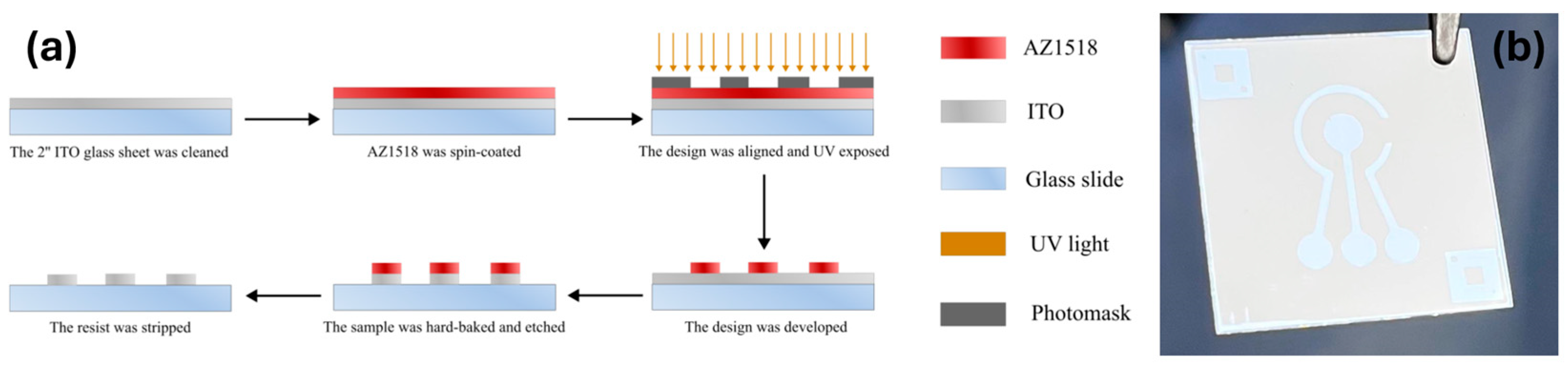 Biosensors 15 00186 g001
