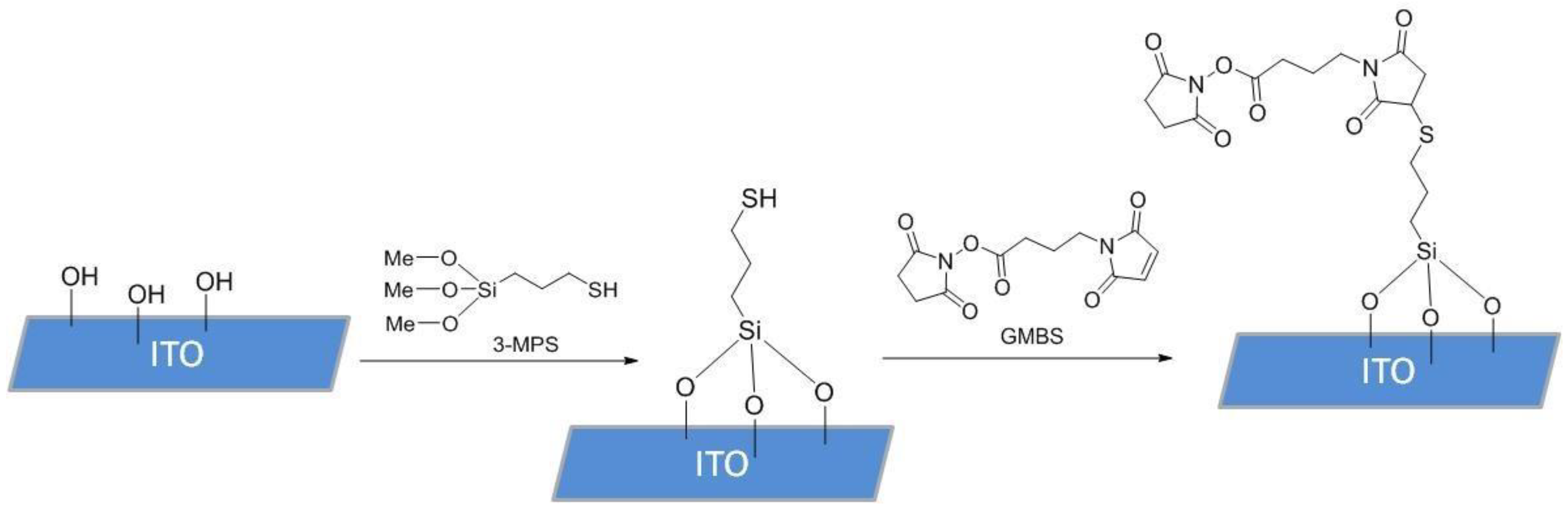 Biosensors 15 00186 g002