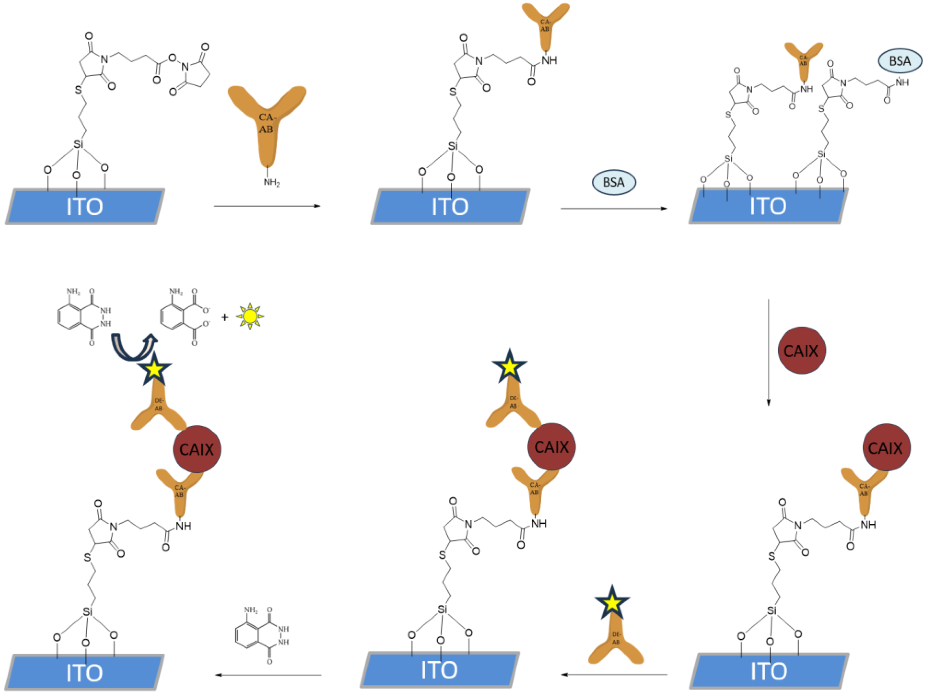 Biosensors 15 00186 g003