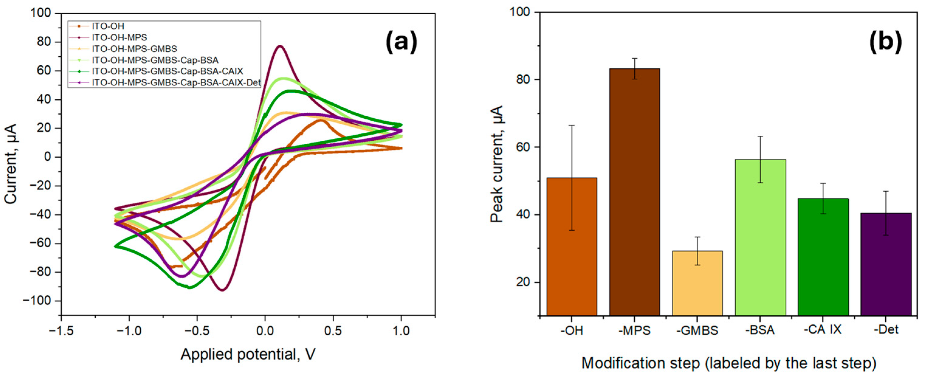 Biosensors 15 00186 g005