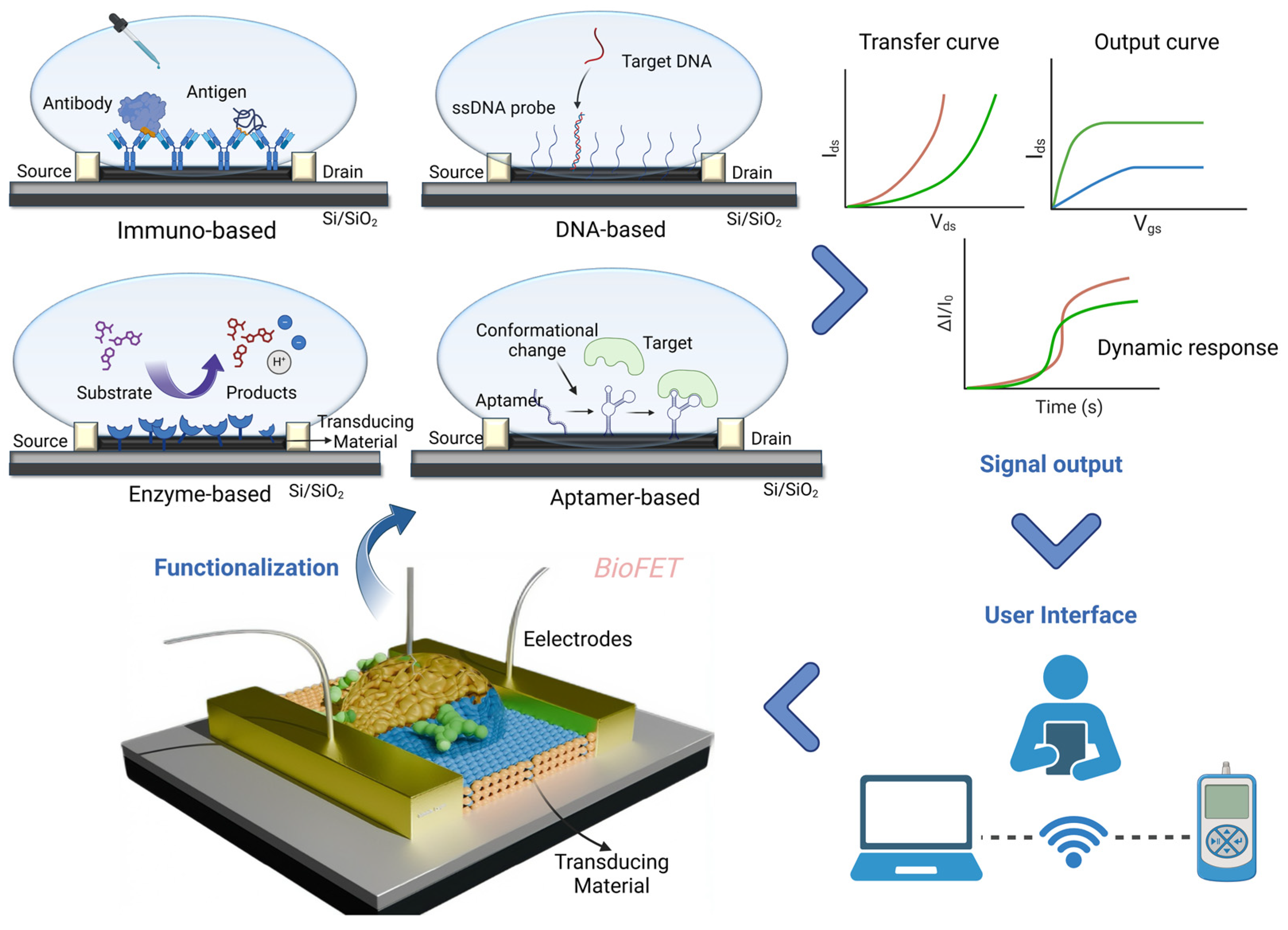 Biosensors 15 00193 g002