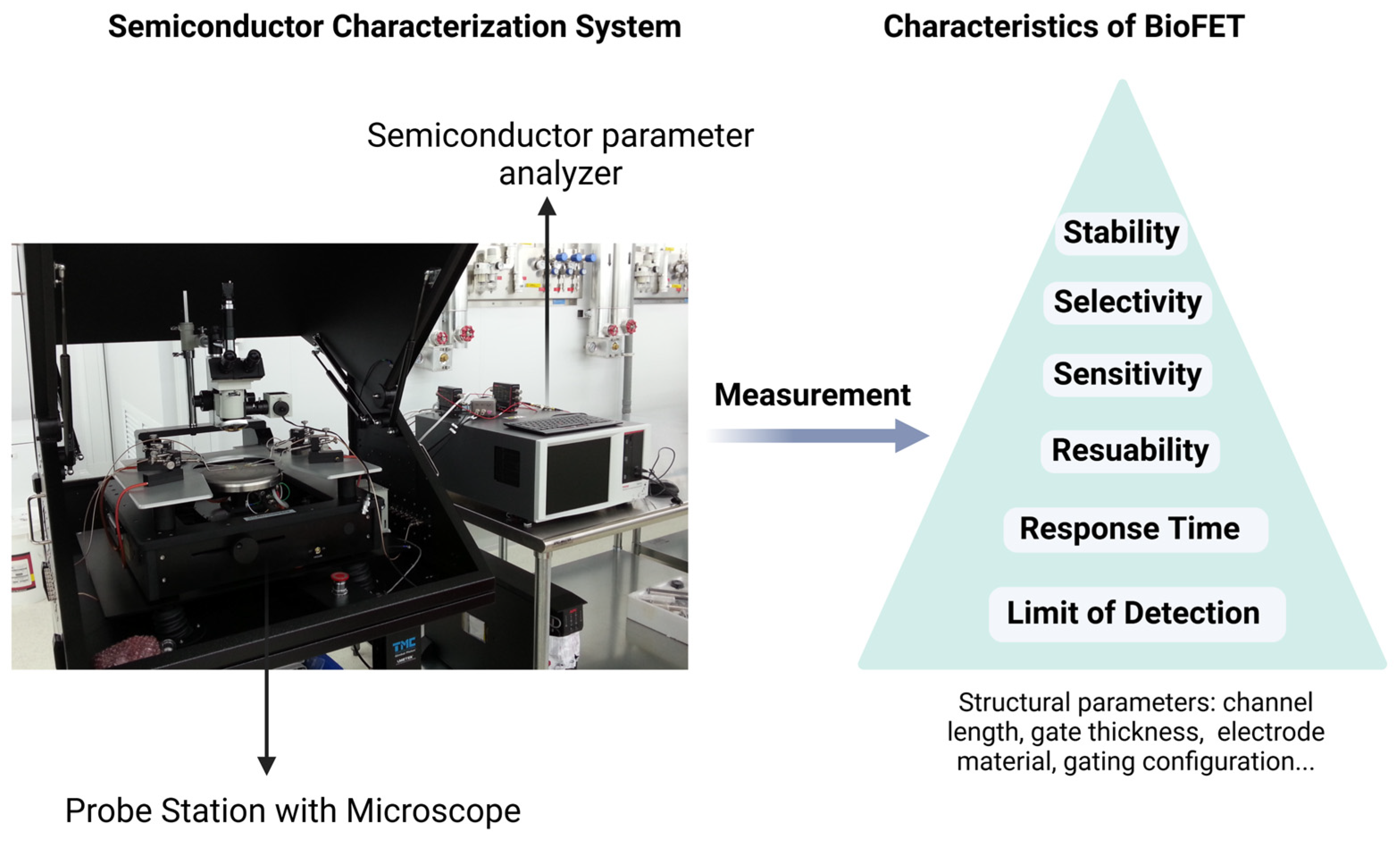 Biosensors 15 00193 g003