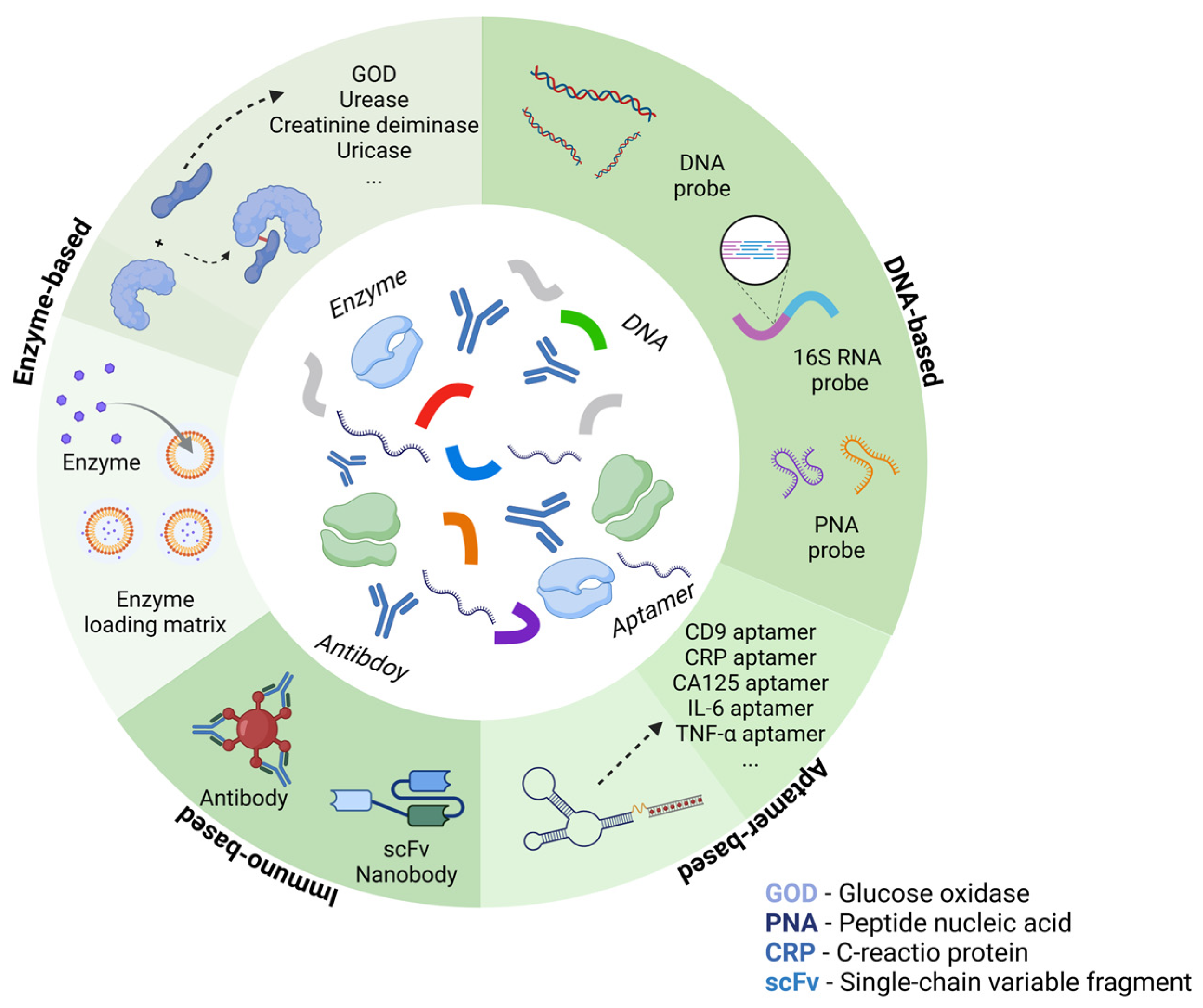 Biosensors 15 00193 g004