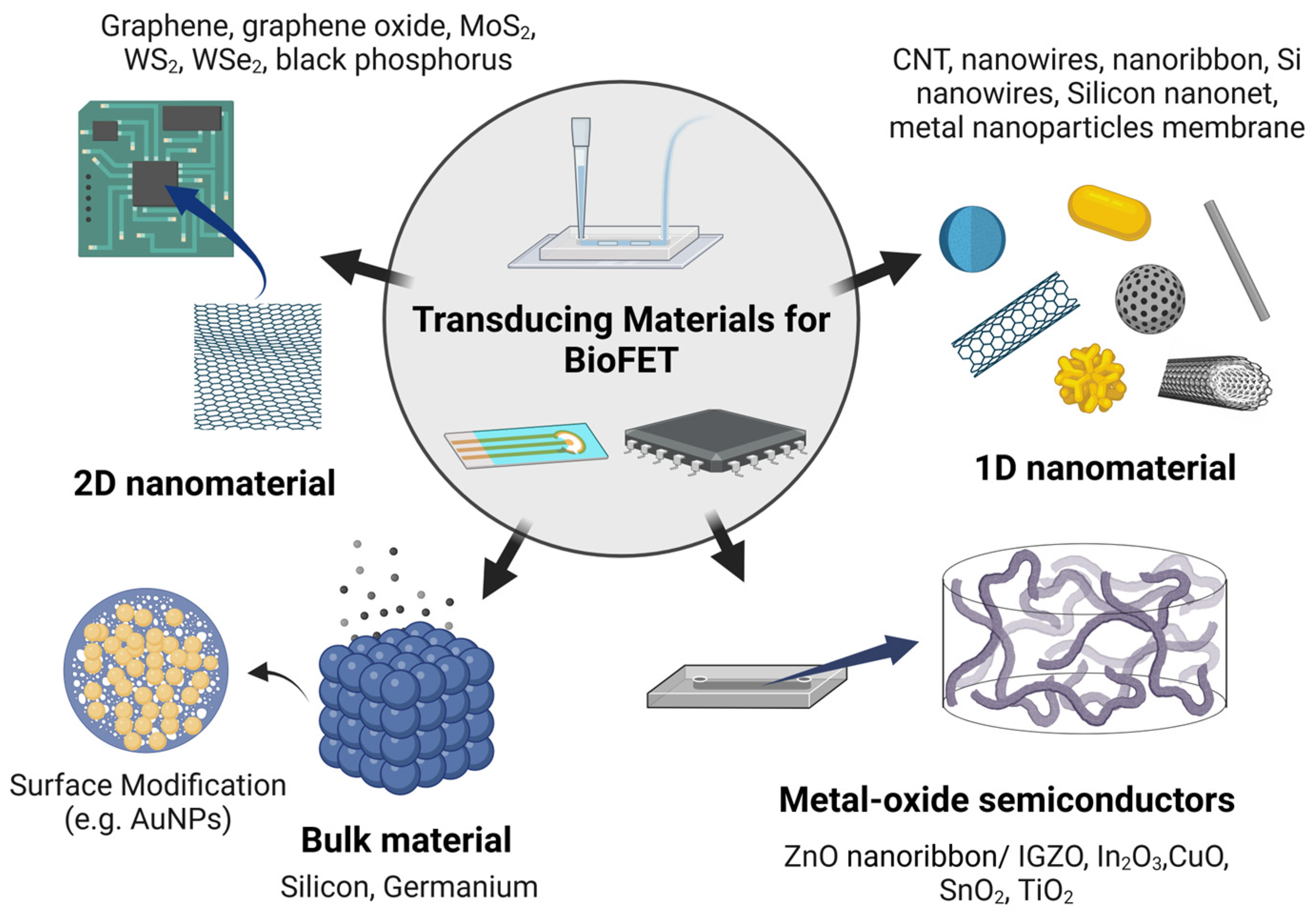 Biosensors 15 00193 g007
