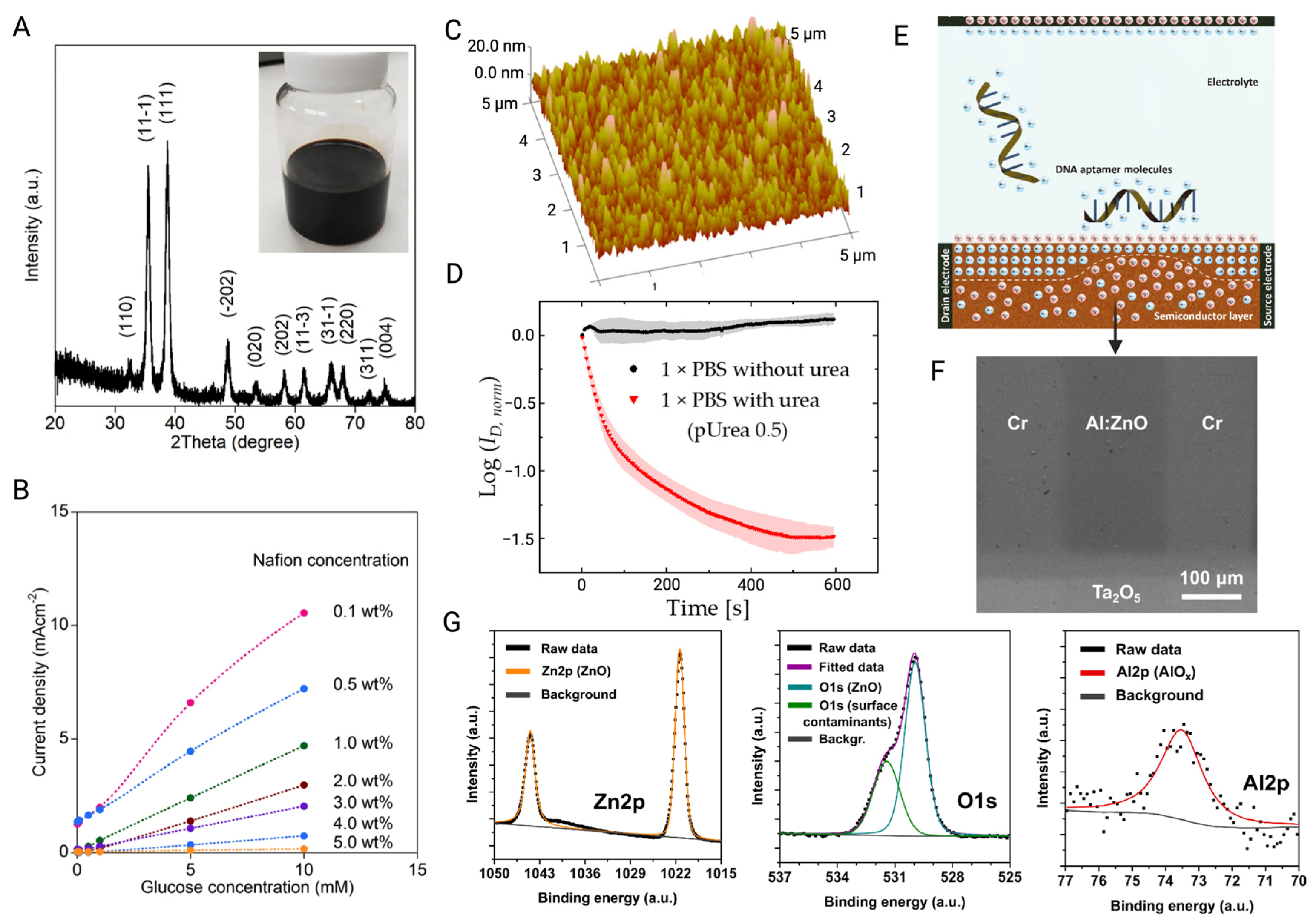 Biosensors 15 00193 g008