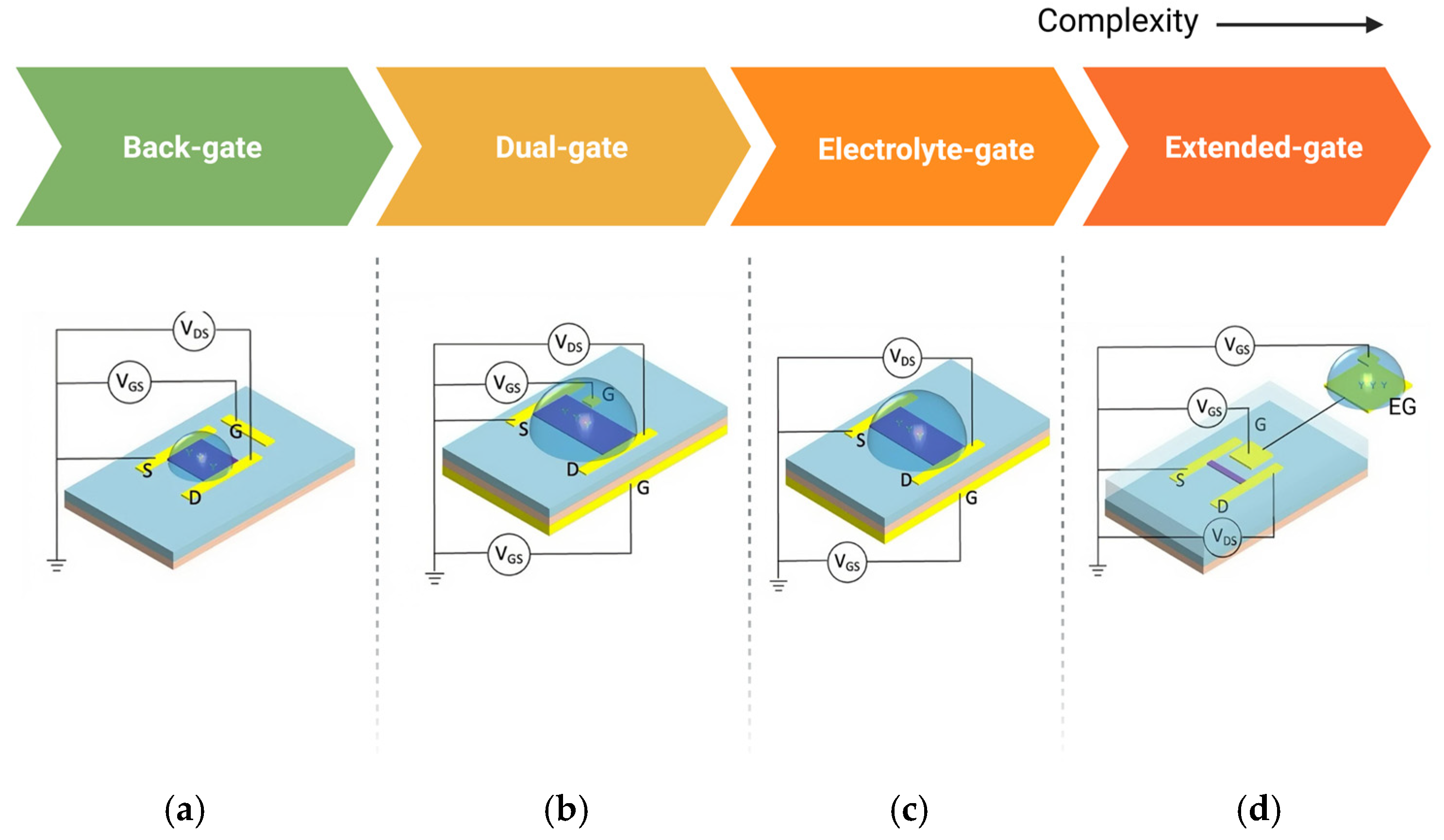 Biosensors 15 00193 g010