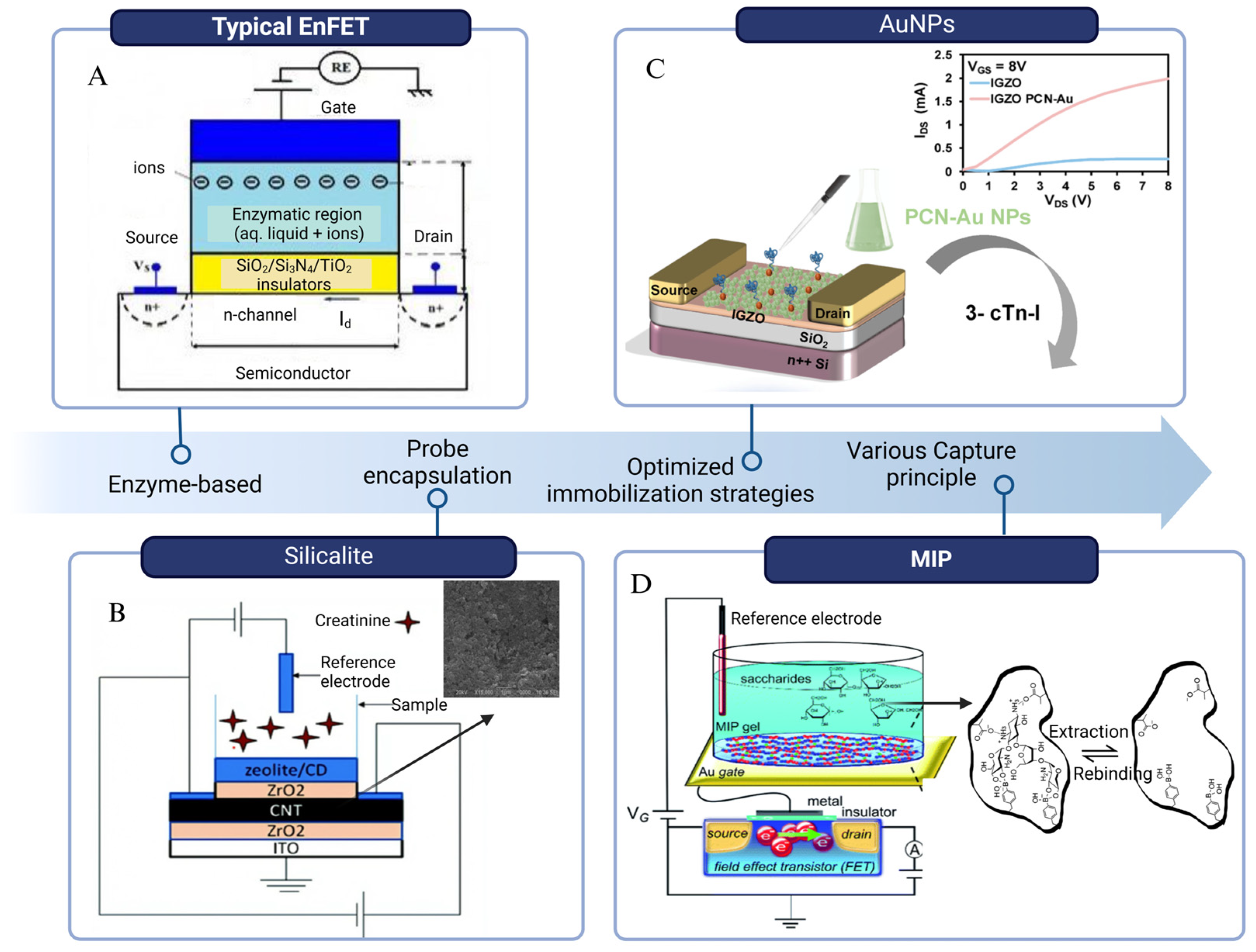 Biosensors 15 00193 g011