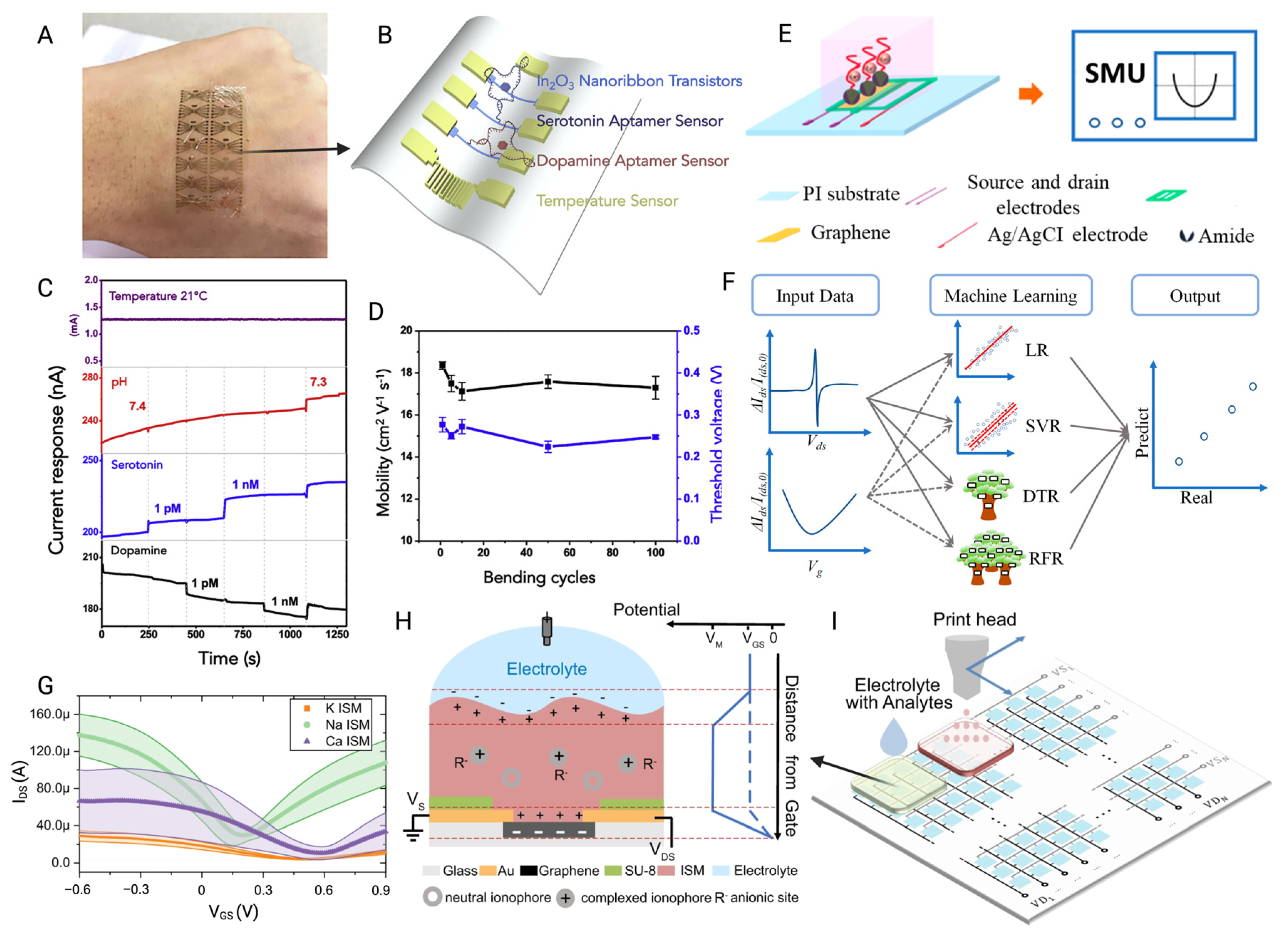 Biosensors 15 00193 g012