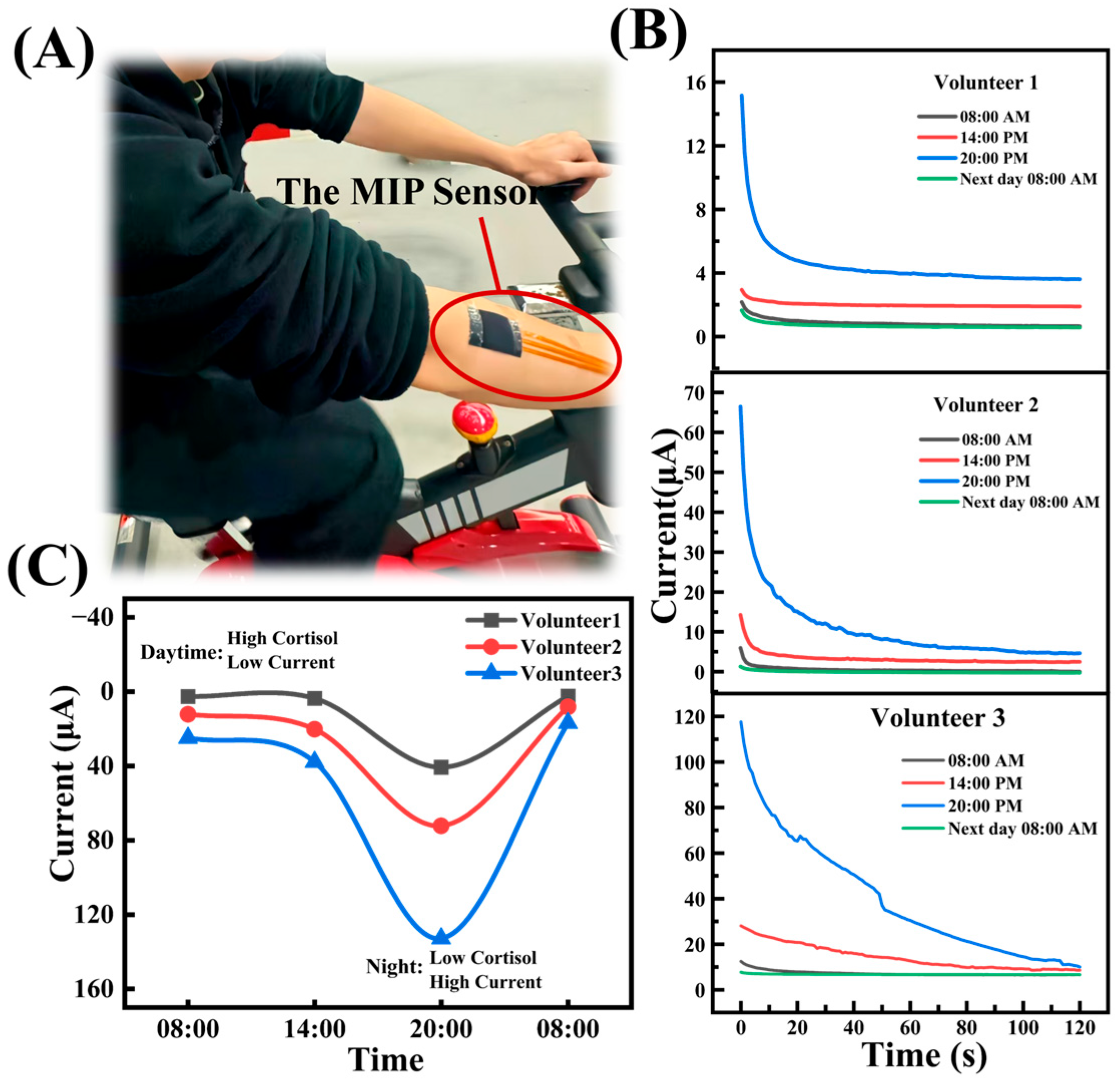 Biosensors 15 00194 g008