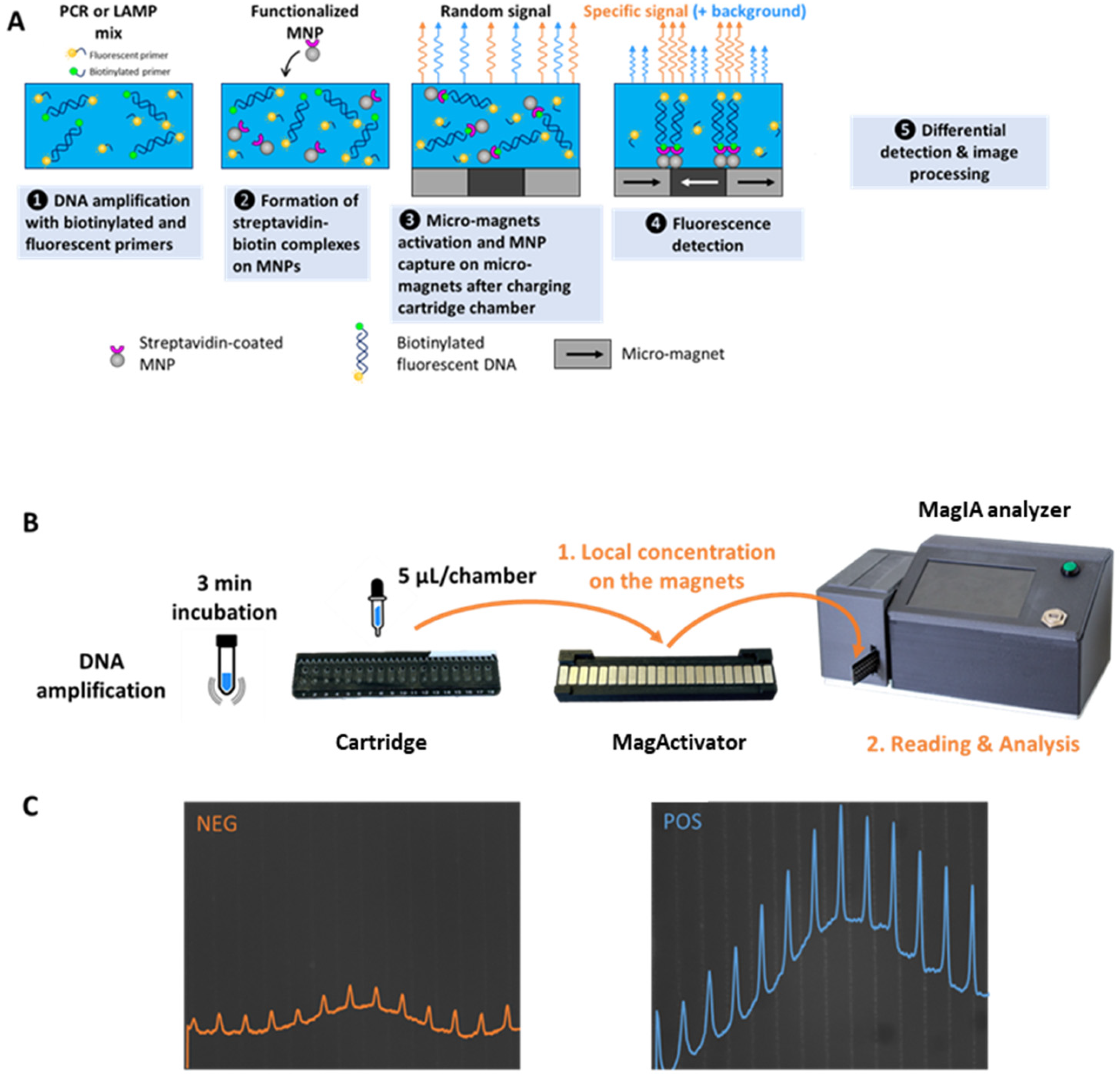 Biosensors 15 00195 g001