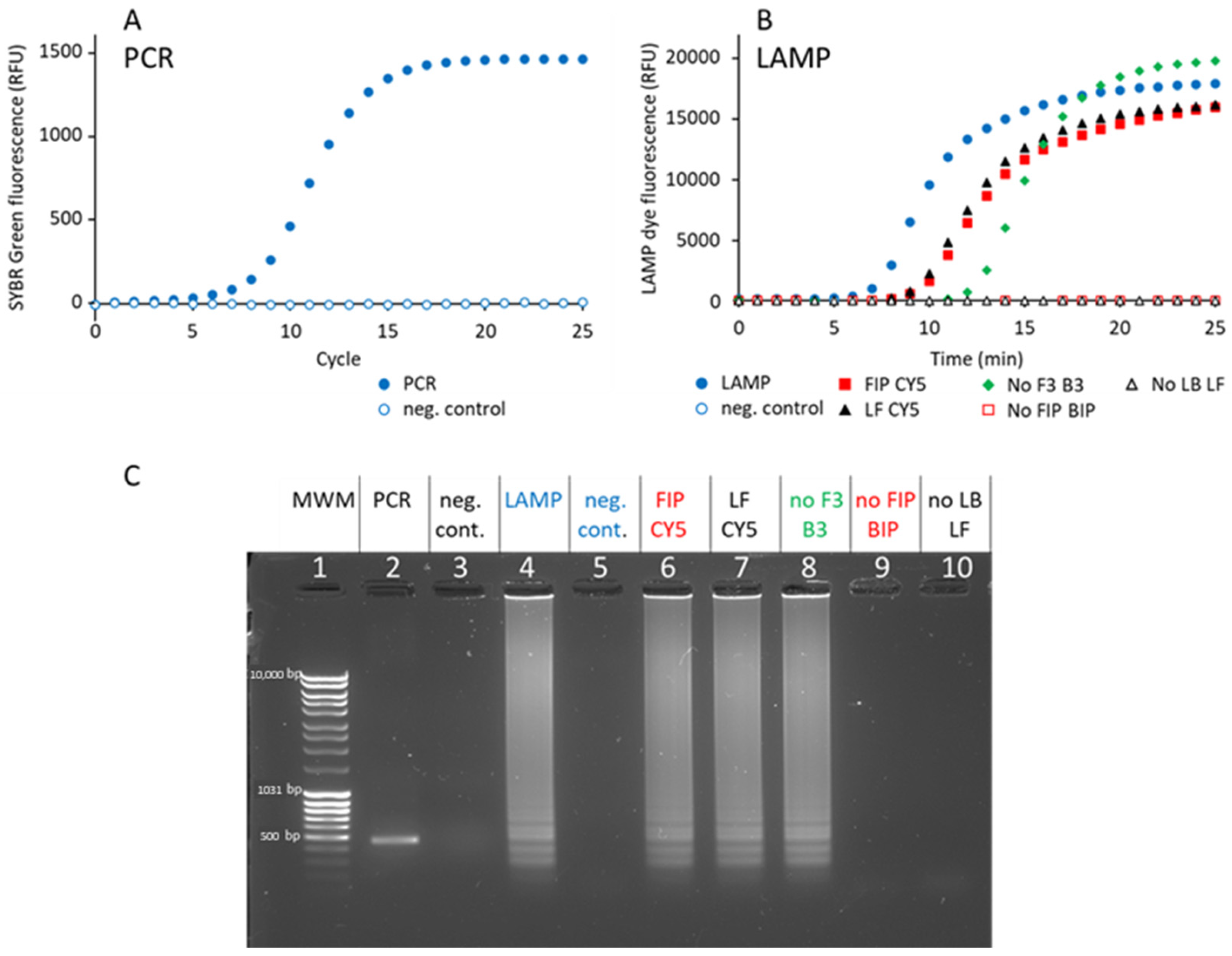 Biosensors 15 00195 g002