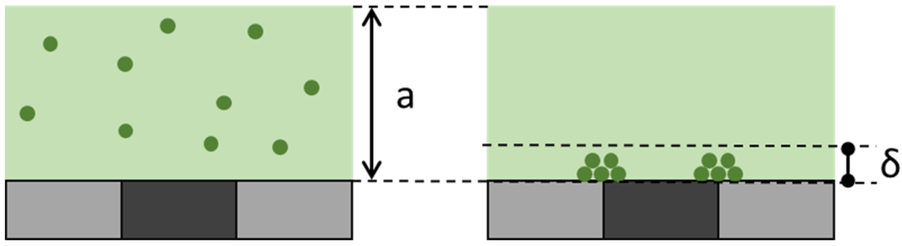 Biosensors 15 00195 g007