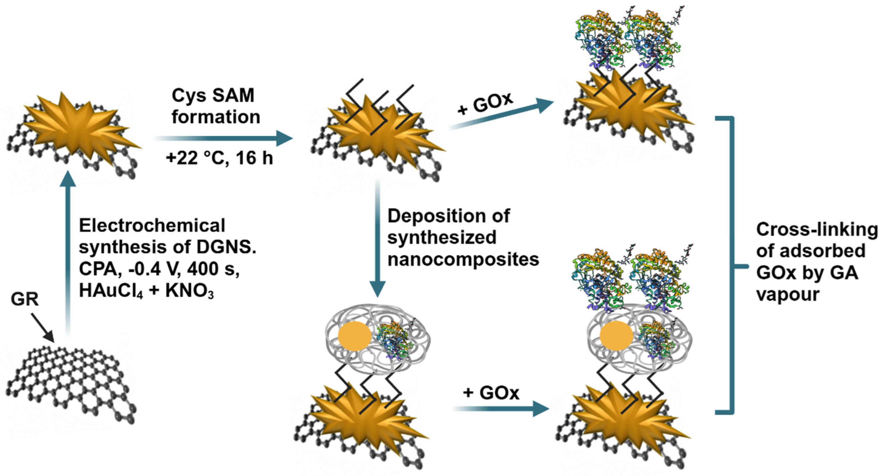 Biosensors 15 00196 g001