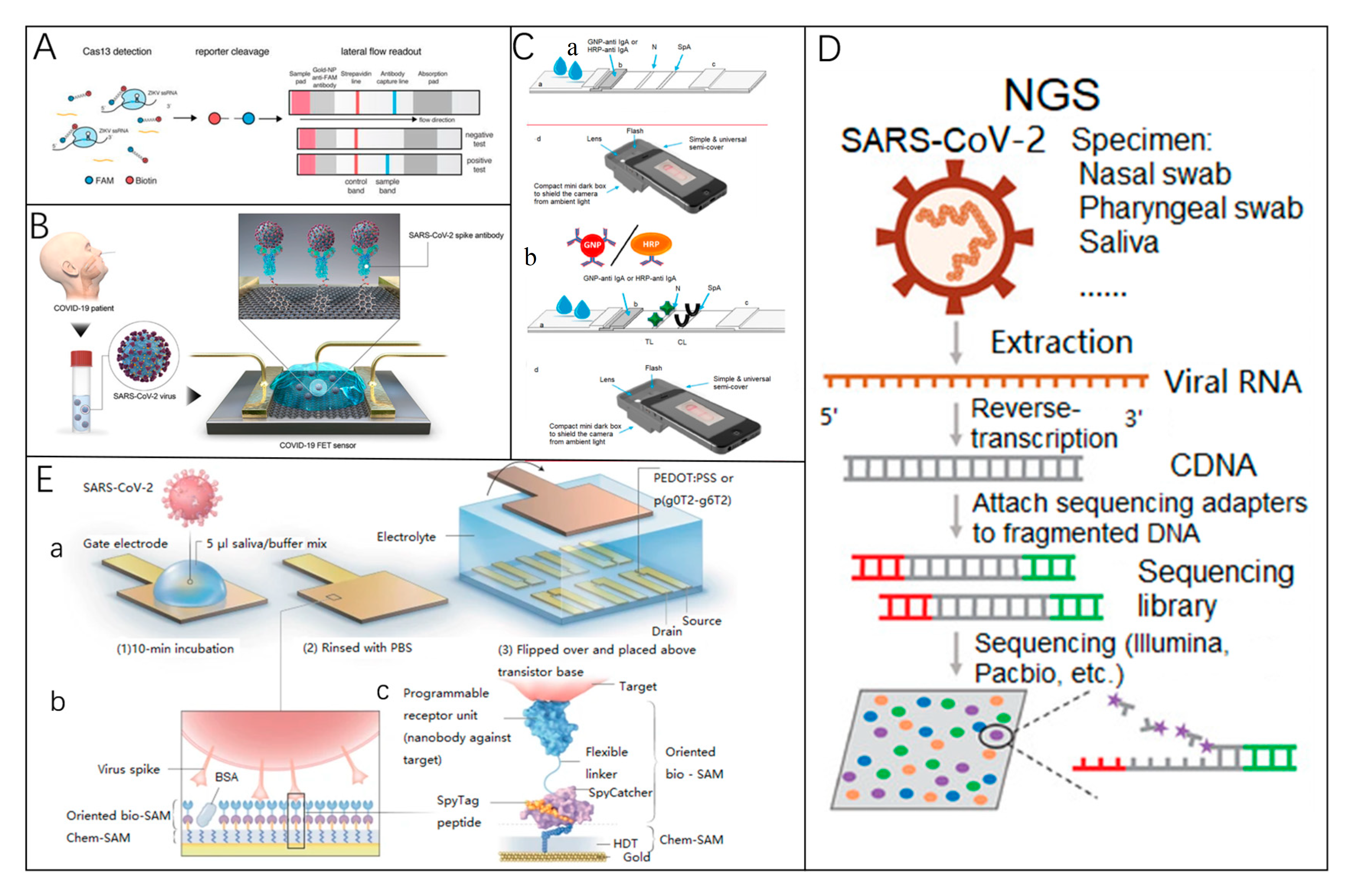Biosensors 15 00198 g007