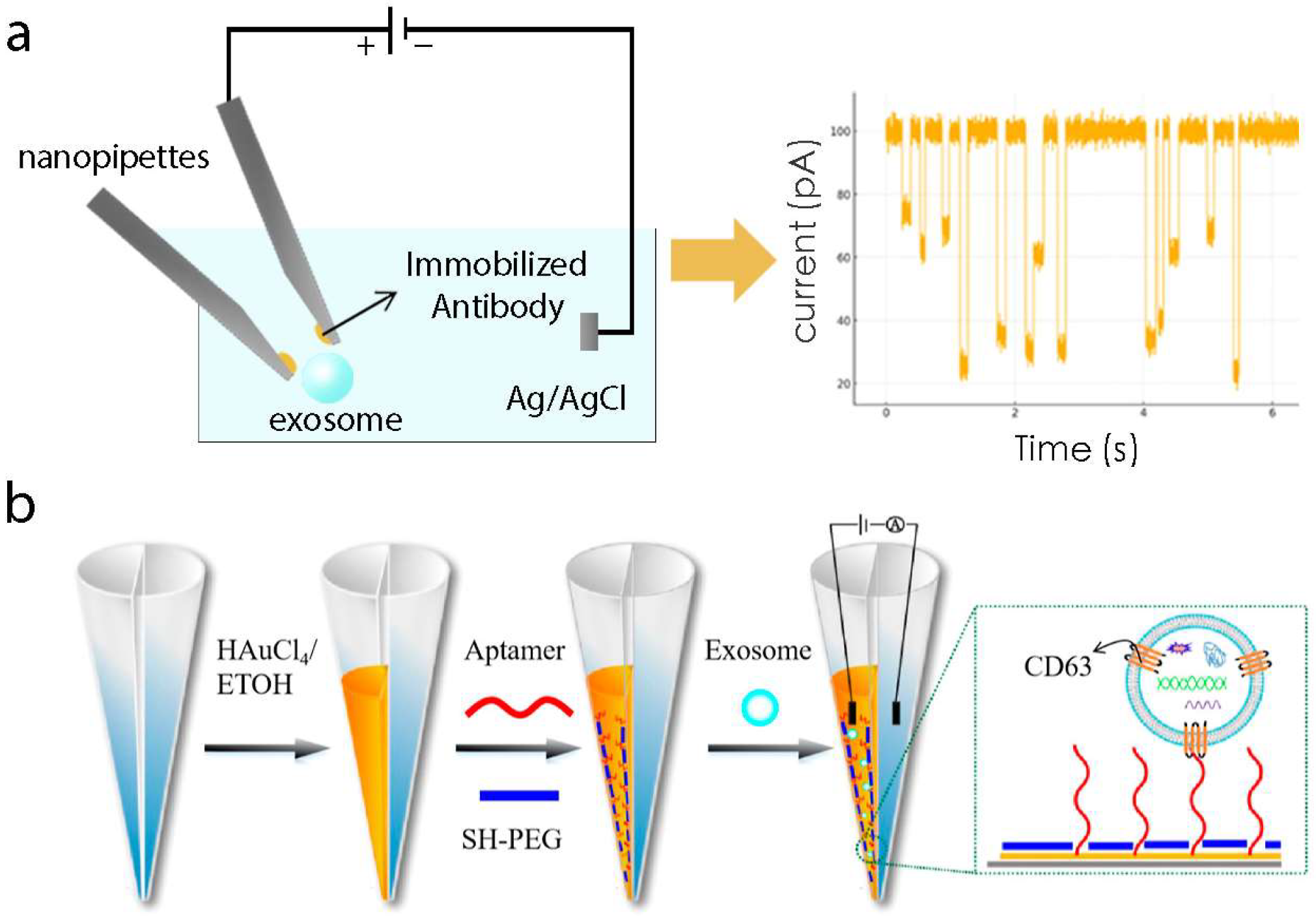 Biosensors 15 00199 g002