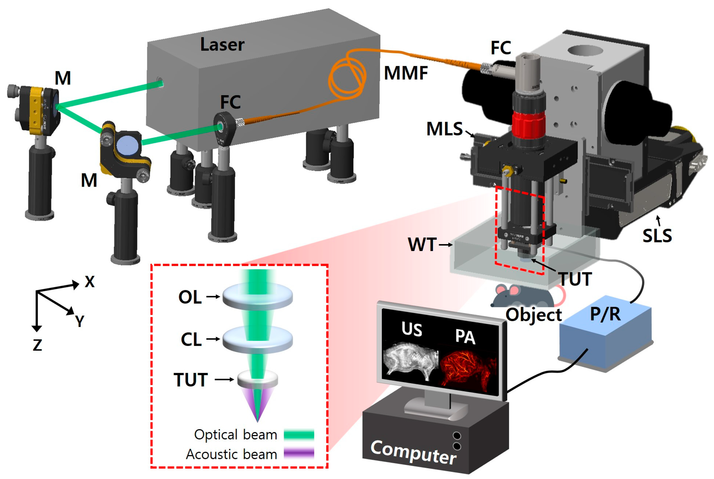 Biosensors 15 00200 g001