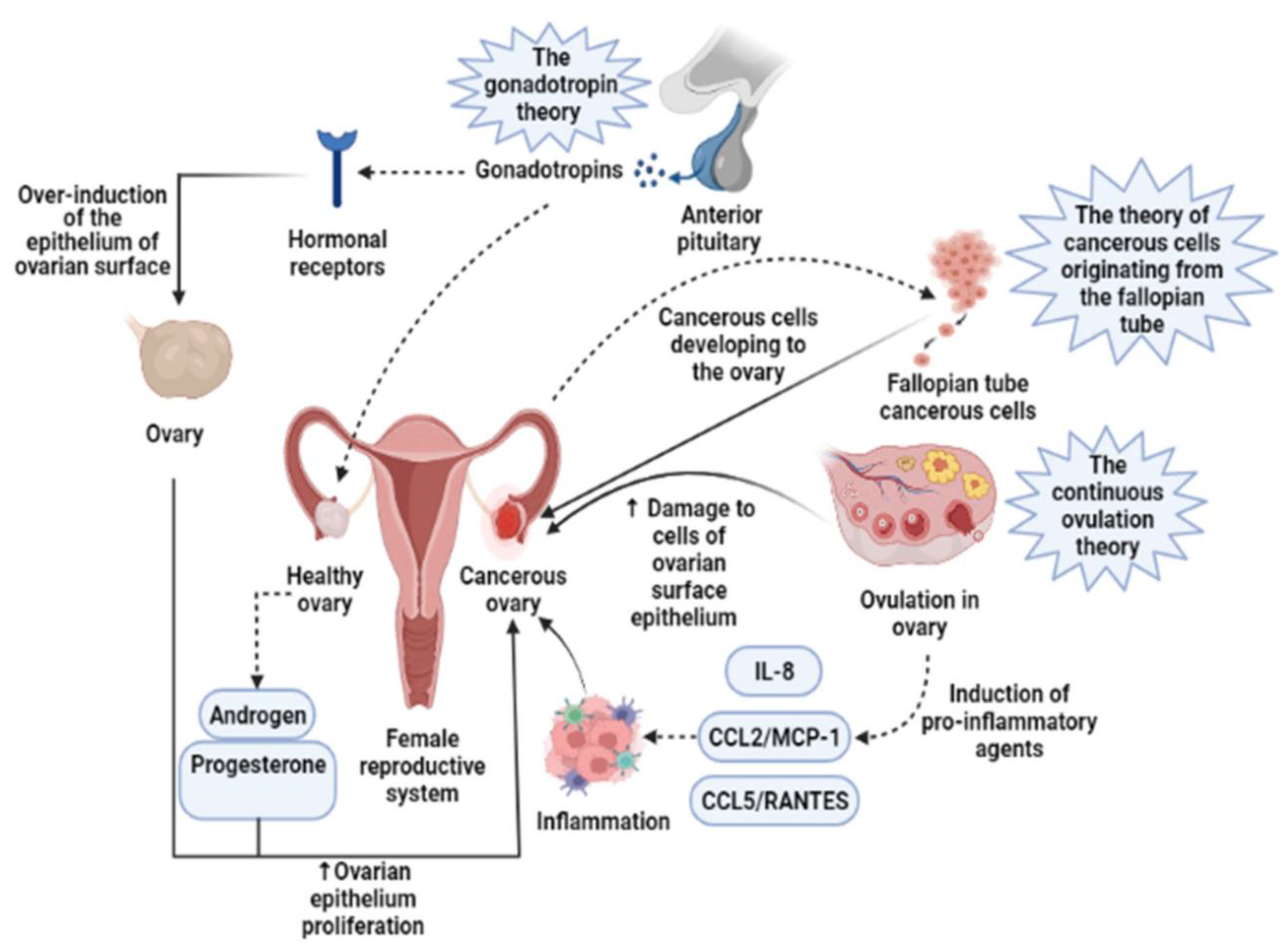 Biosensors 15 00203 g001 Biosensors 15 00203 g001