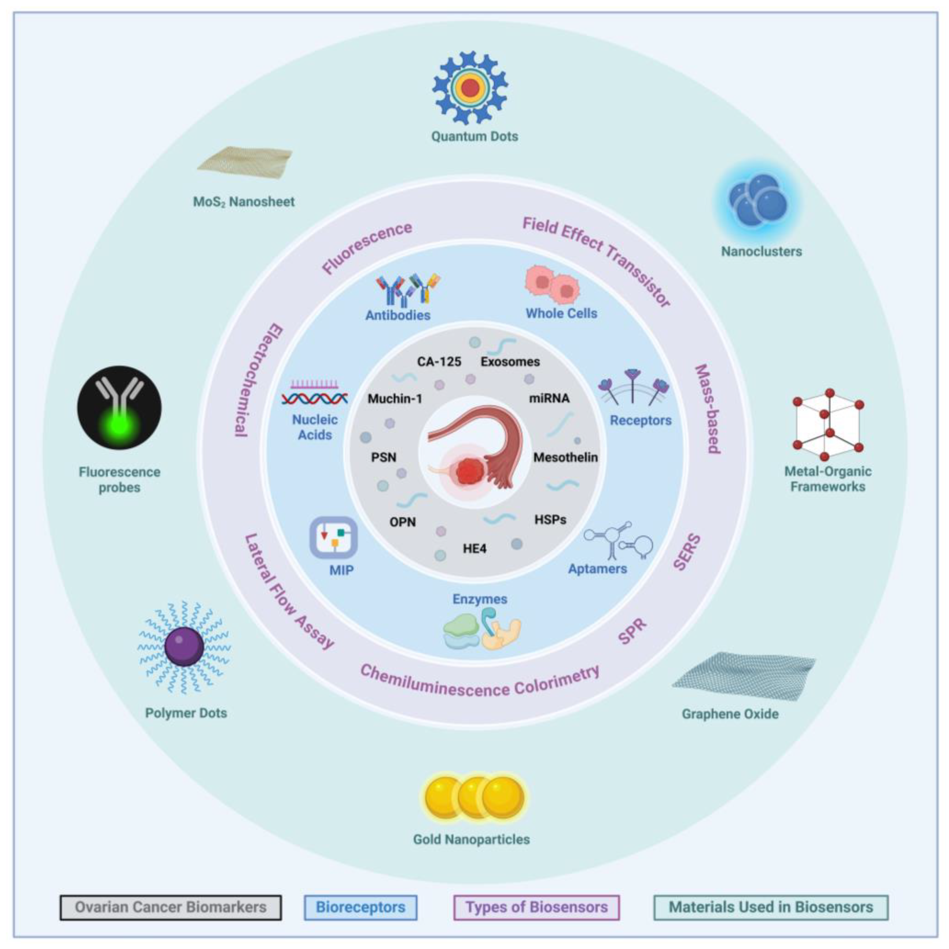 Biosensors 15 00203 g002 Biosensors 15 00203 g002