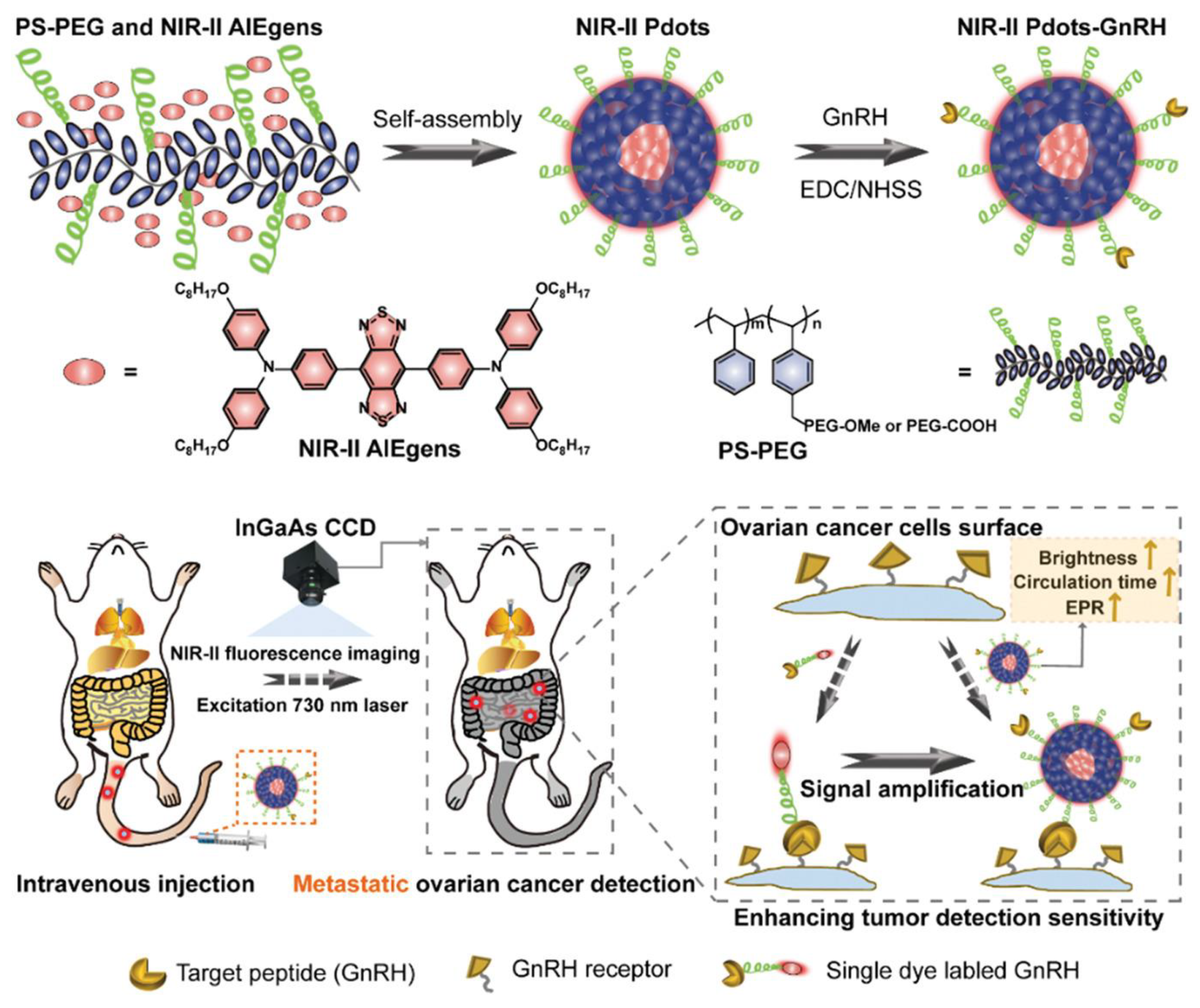 Biosensors 15 00203 g003 Biosensors 15 00203 g003