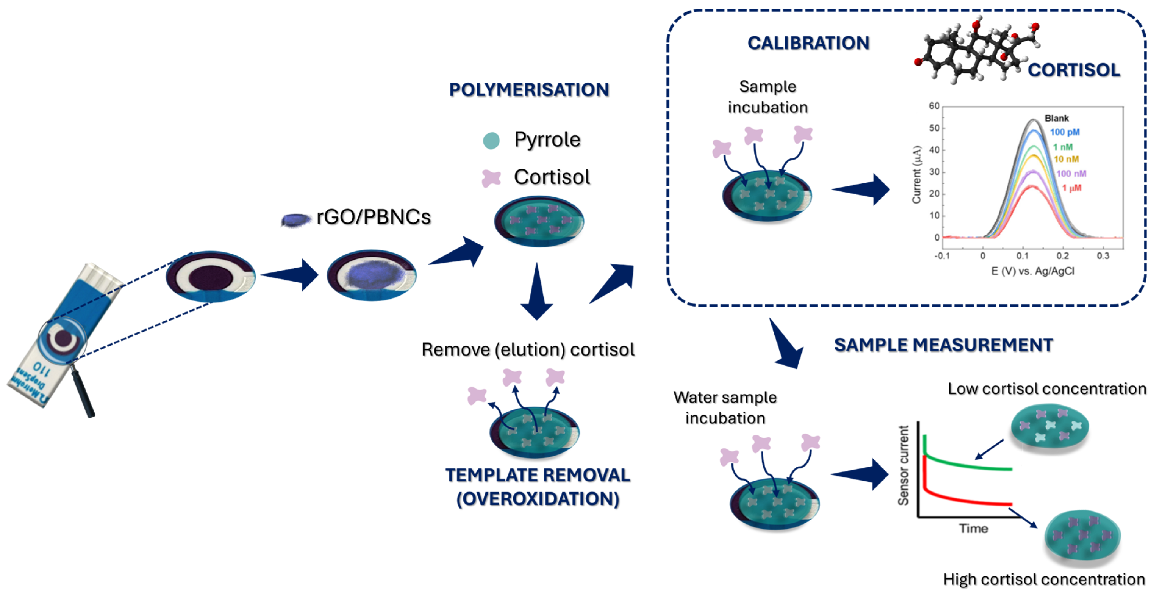 Biosensors 15 00204 g001