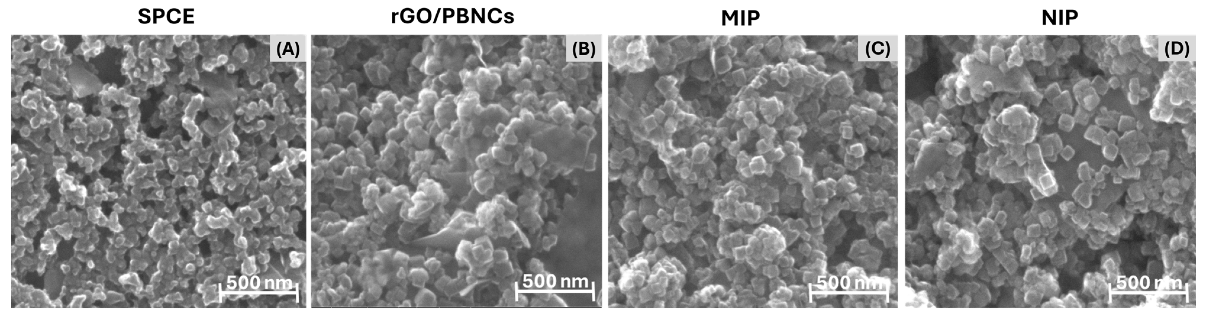 Biosensors 15 00204 g004